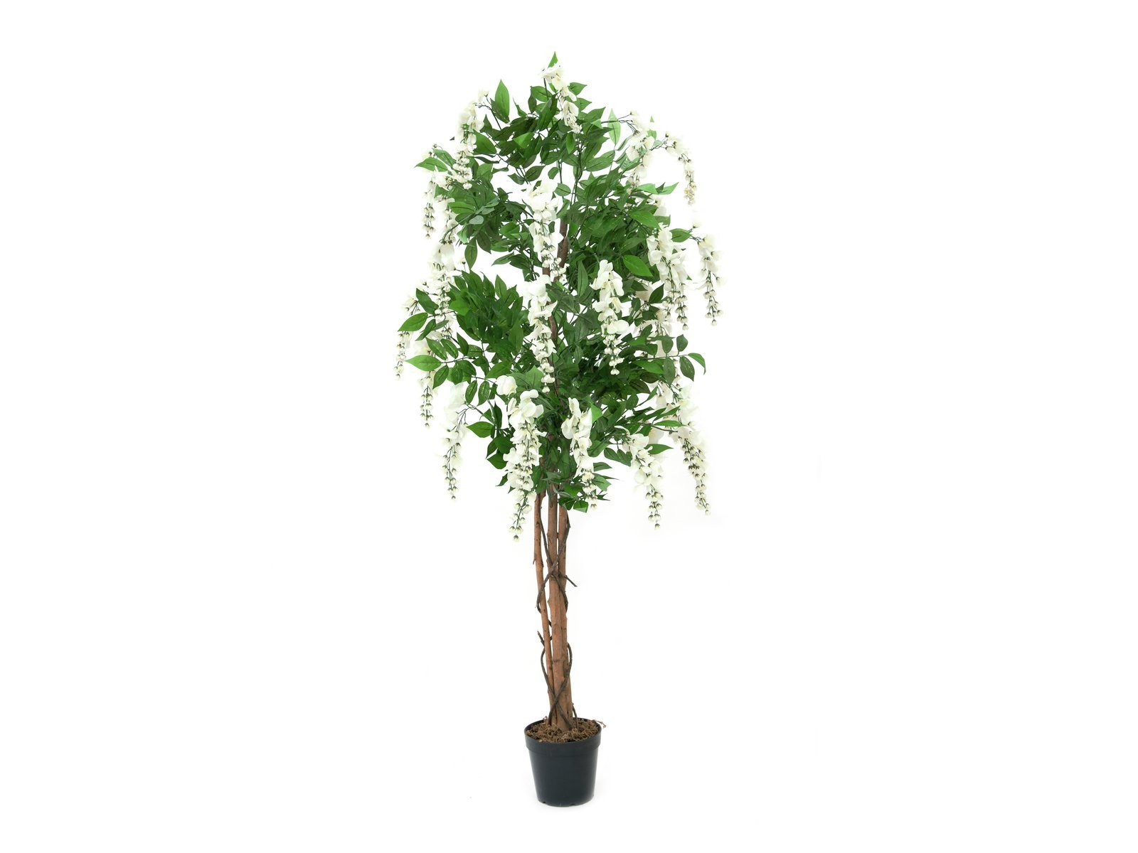 Kunstbaum Goldregenbaum, 150cm, EUROPALMS, verschiedene Farben erhältlich