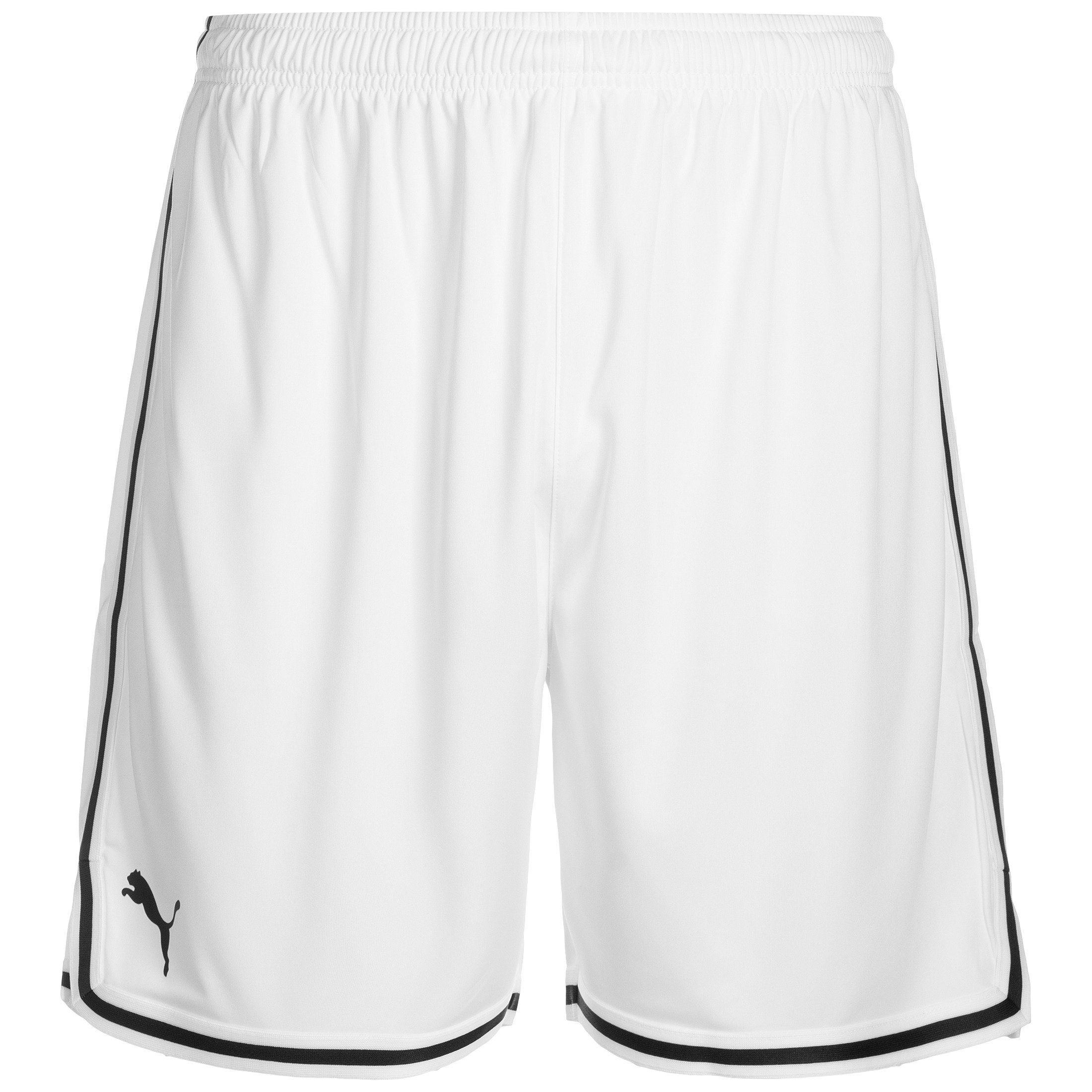 PUMA Trainingsshorts Hoops Team Game Basketballshorts Herren