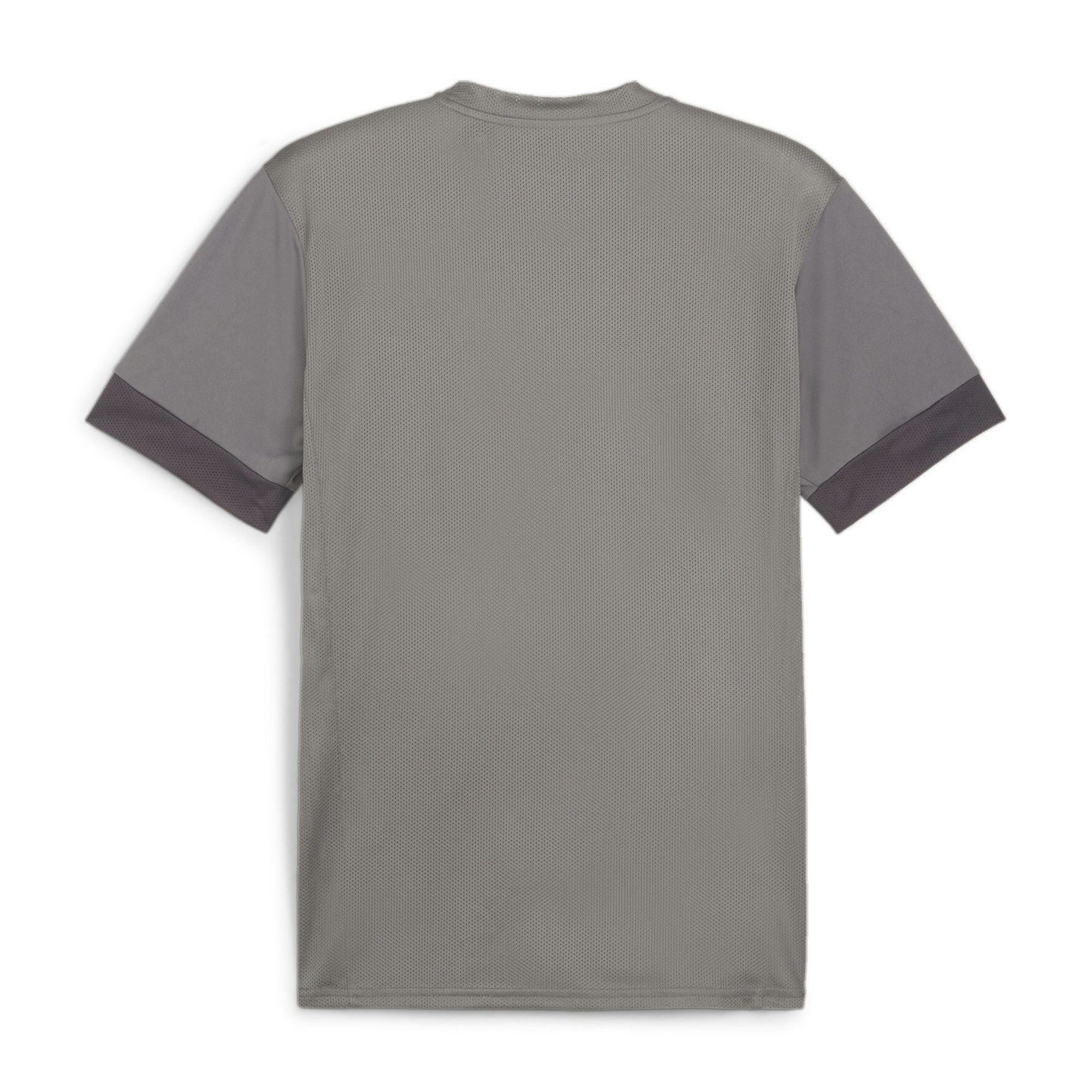 PUMA Fußballtrikot Puma Herren Trikot teamGOAL Matchday Jersey 705747