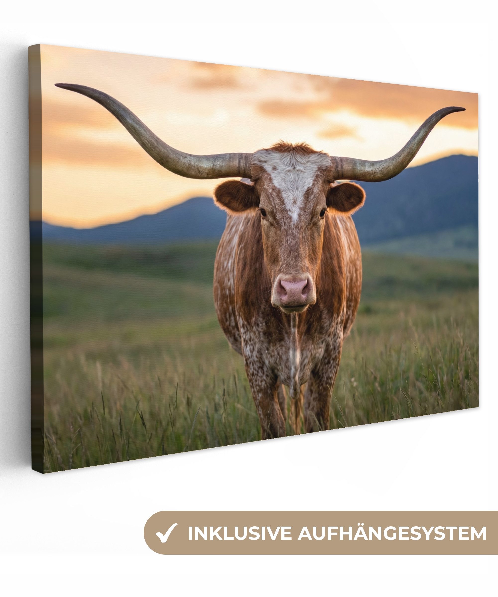 OneMillionCanvasses® Leinwandbild Longhorn - Landschaft - Sonnenuntergang, Fotodruck (1 St), Leinwandbilder XXL Wohnzimmer, Deko Aesthetic 150x100 cm