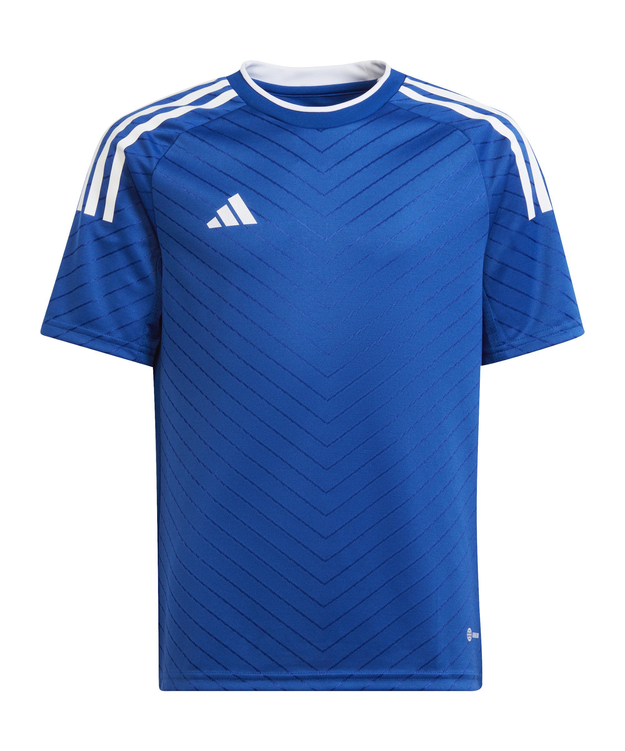 Team Royal Blue