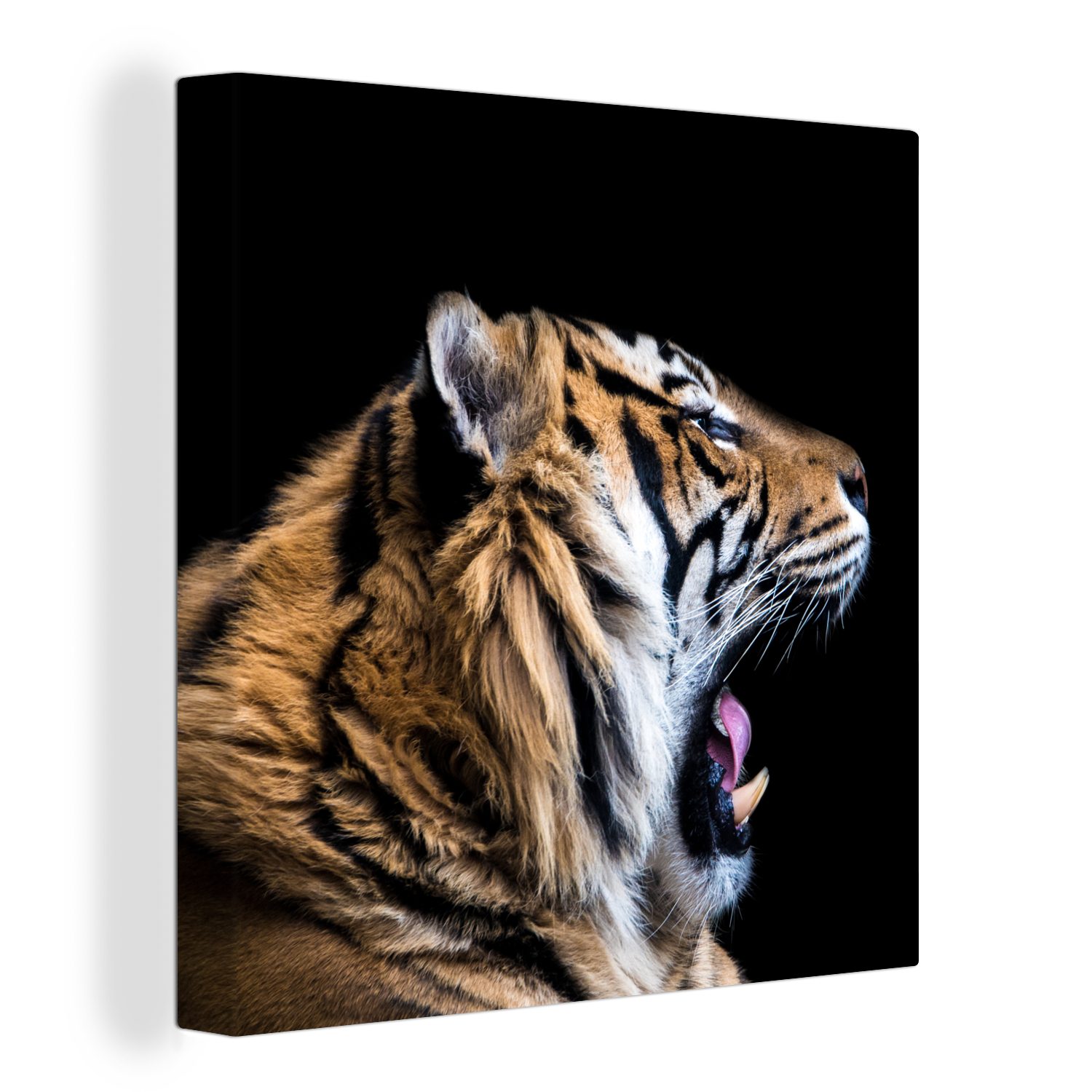 OneMillionCanvasses® Leinwandbild Tiger - Tiere - Porträt, (1 St), Leinwand Bilder für Wohnzimmer Schlafzimmer