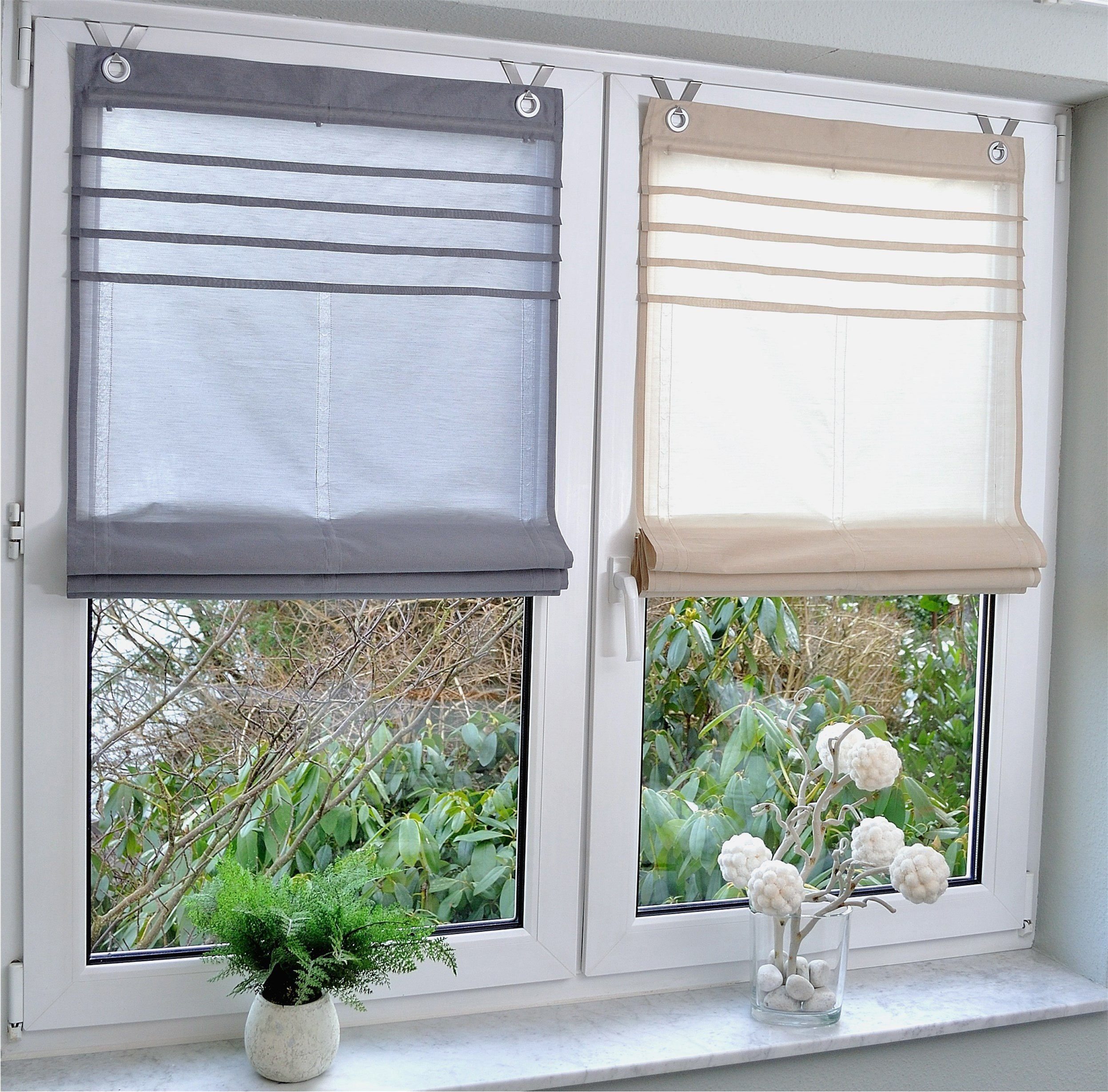 Kutti Raffrollo Kessy Biese, mit Hakenaufhängung, ohne Bohren, halbtranspar günstig online kaufen