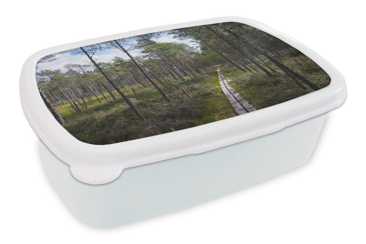 MuchoWow Lunchbox Ein Weg durch die Wälder des Store Mosse Nationalparks in Schweden, Kunststoff, (2-tlg), Brotbox für Kinder und Erwachsene, Brotdose, für Jungs und Mädchen weiß