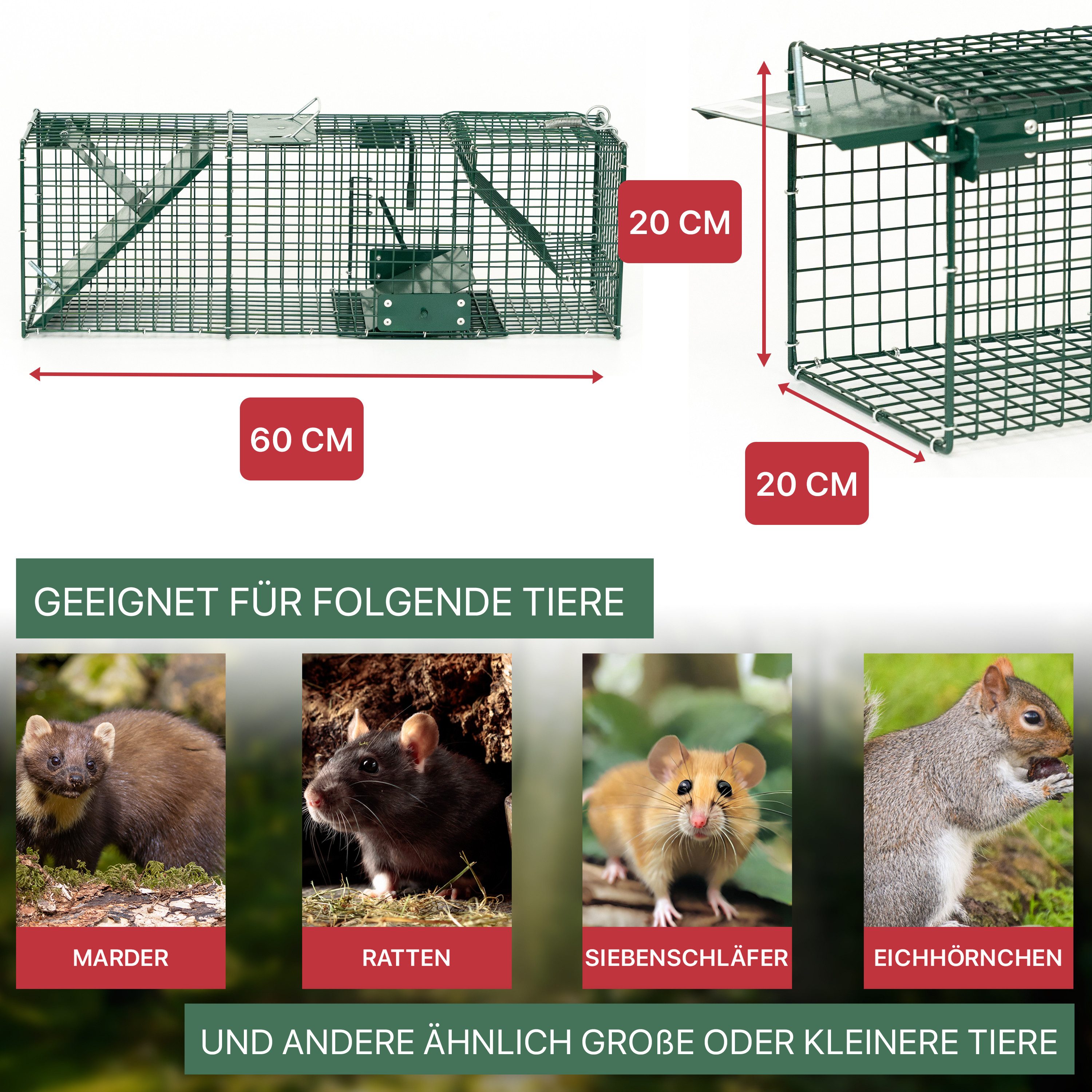 Thumbnail - ITA Lebendfalle Lebendfalle 6017 60x20x20 cm Falle für Kleintiere wie Marder & Ratten, Rattenfalle Marderfalle - Fertig ...
