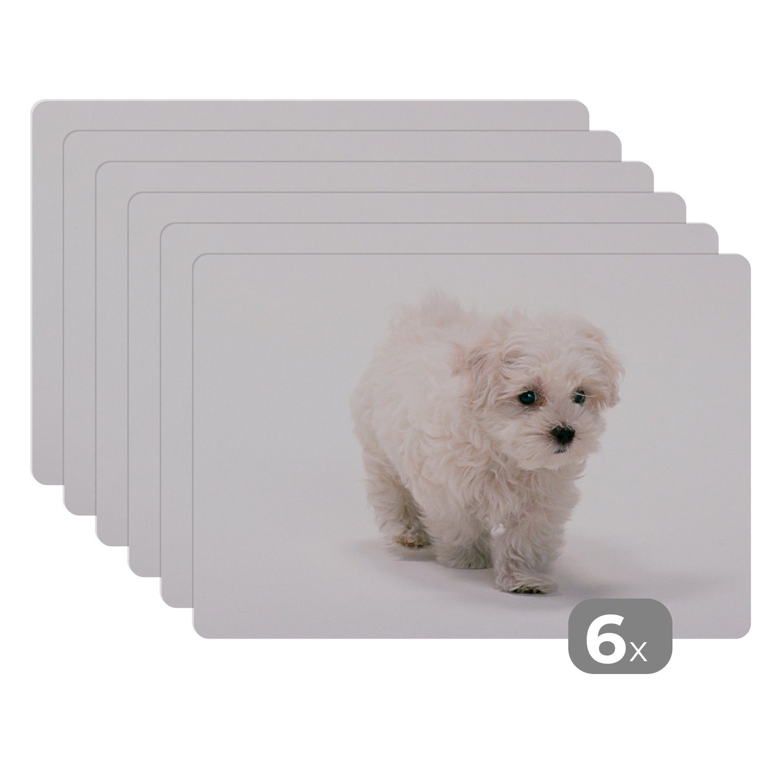 Platzset, Niedlicher kleiner Malteserhund, MuchoWow, (6-St), Platzset, Platzdecken, Platzmatte, Tischmatten, Schmutzabweisend