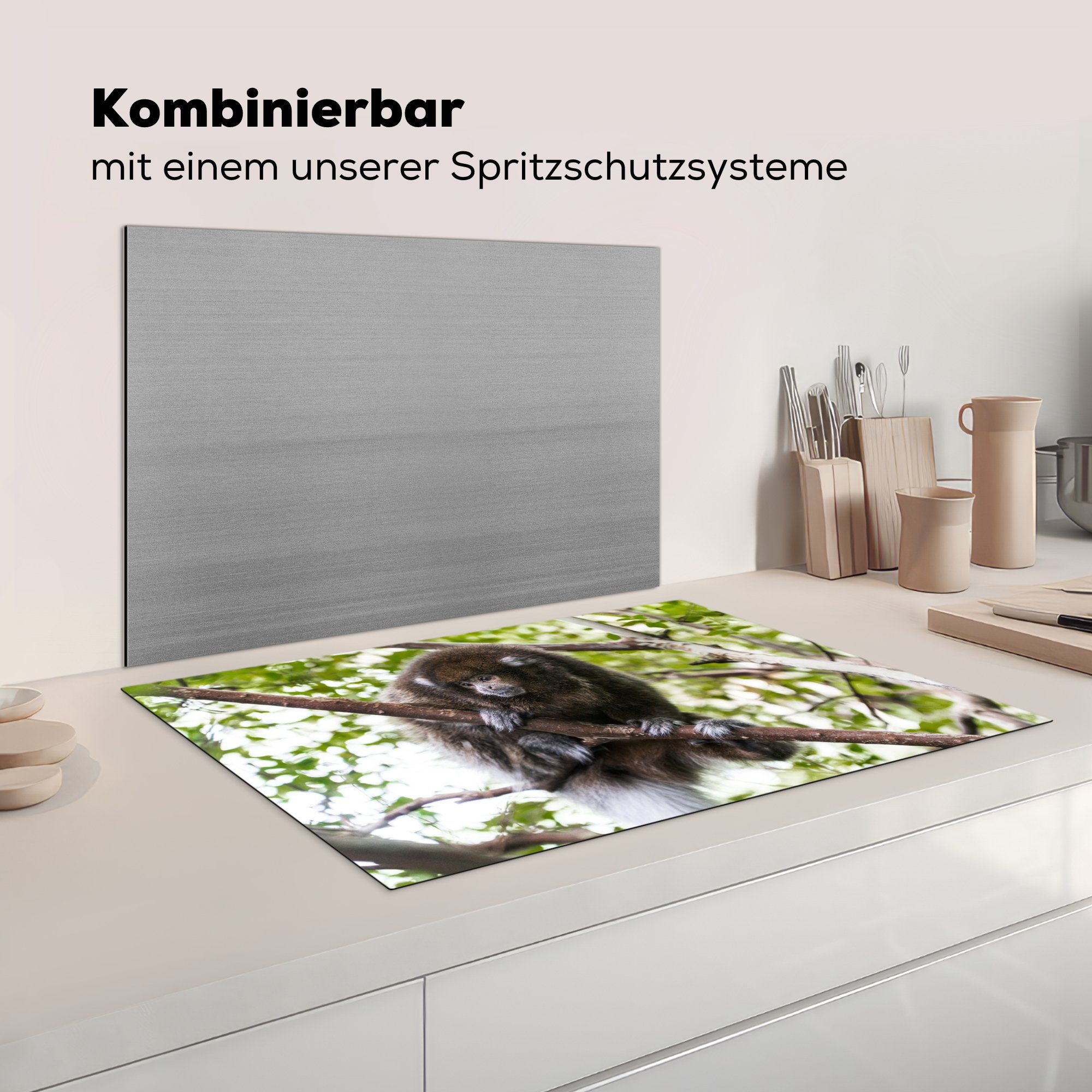 (1 - cm, - Schutz Herdblende-/Abdeckplatte Vinyl, küche, Tier, 81x52 für MuchoWow tlg), Zweig Ceranfeldabdeckung Induktionskochfeld die Affe