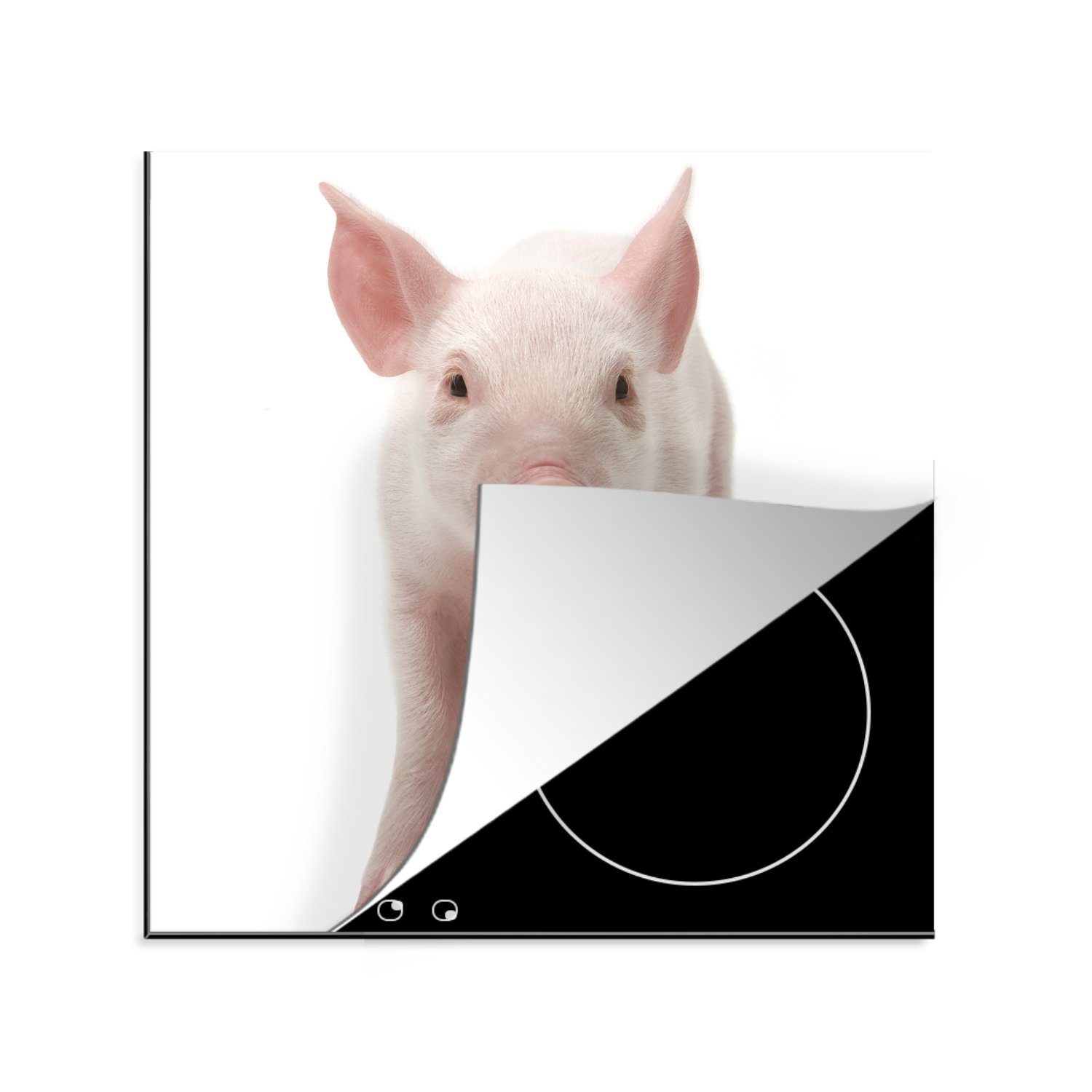küche Herdblende-/Abdeckplatte Schwein cm, Ceranfeldabdeckung, - Arbeitsplatte (1 Weiß, tlg), MuchoWow für Vinyl, 78x78 Tiere -