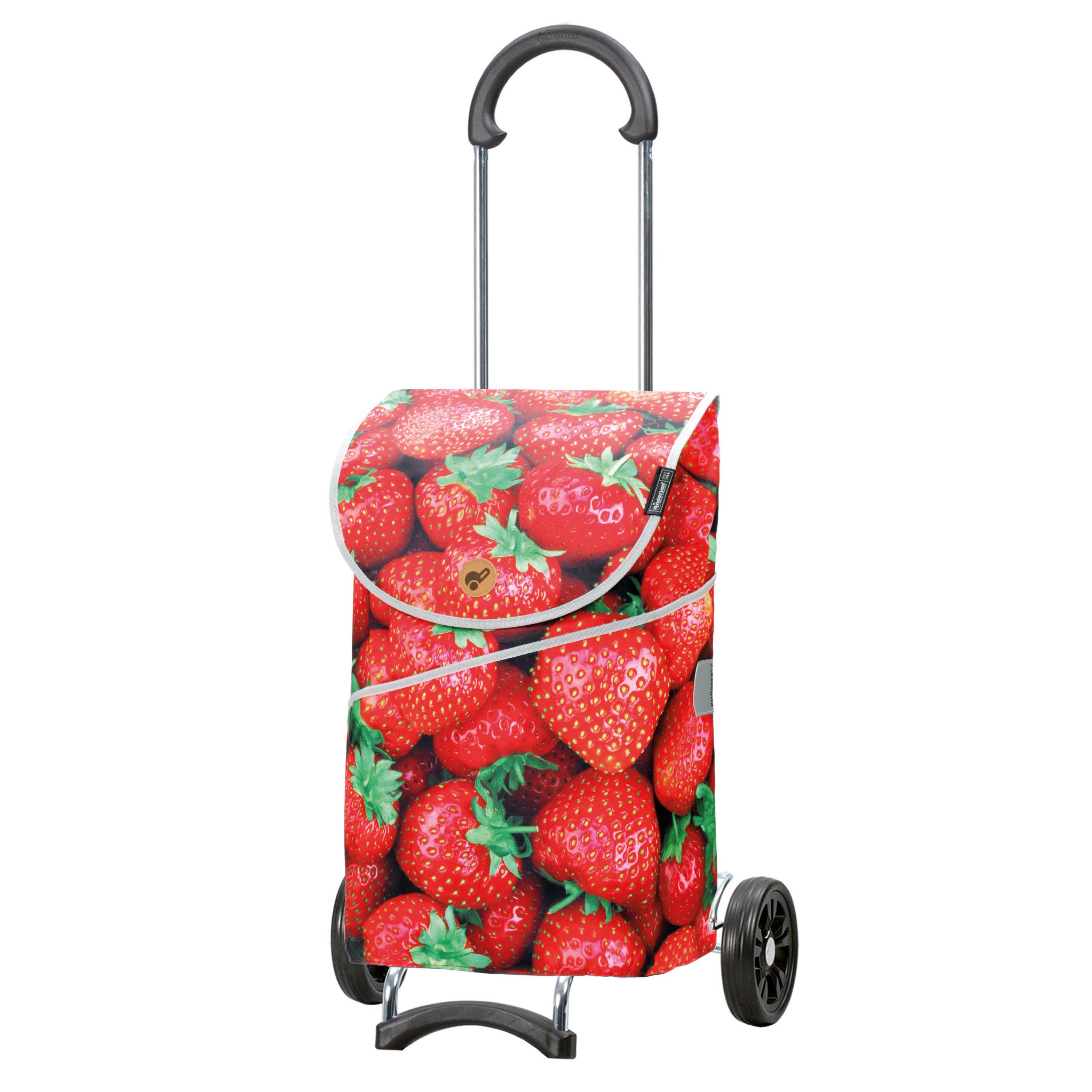 Andersen Einkaufstrolley Scala Shopper MIX A30, günstig online kaufen