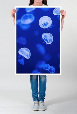 Sinus Art Poster Tierfotografie 60x90cm Poster Kleine weiß leuchtende Quallen im Wasser