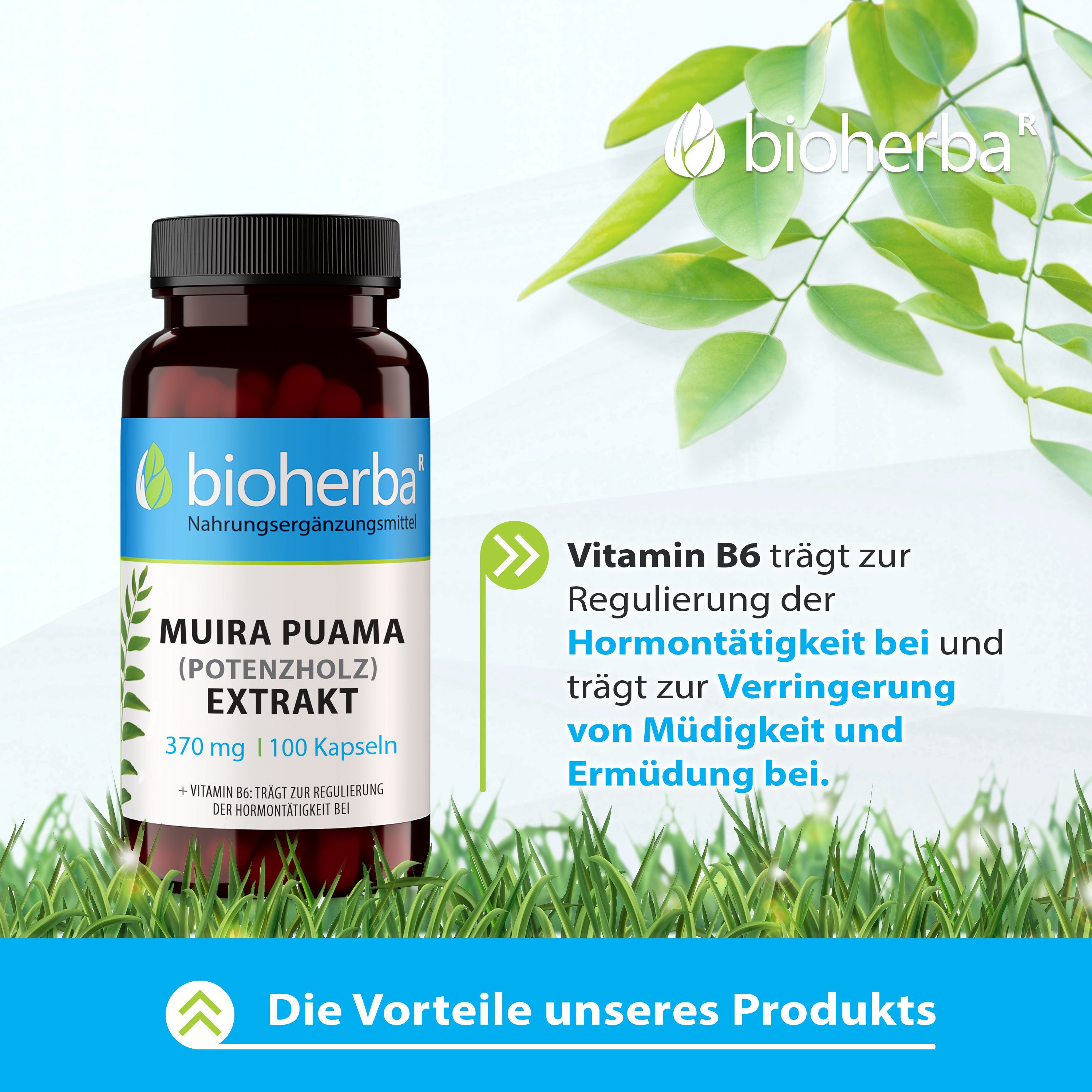 BIOHERBA R Bioherba Muira Puama (Potenzholz) Extrakt 370 mg 100 Kapseln Nahrungsergänzungsmittel, 1 er