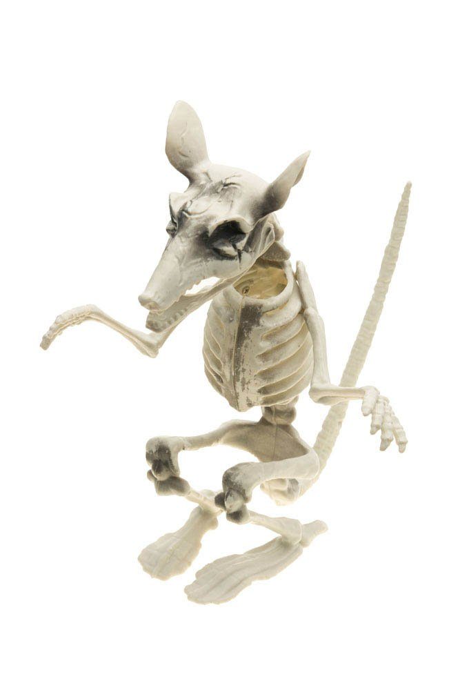 CHAKS Dekoobjekt Gruselige Skelett Ratte - 29 cm - Halloween Deko