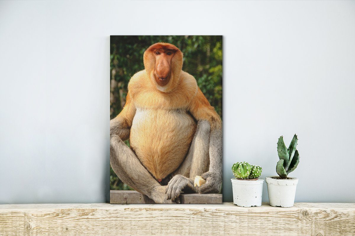 OneMillionCanvasses® Leinwandbild Ein Proboscis-Affe auf einem inkl. bespannt fertig Leinwandbild 20x30 St), Gemälde, (1 Zaun, Zackenaufhänger, cm