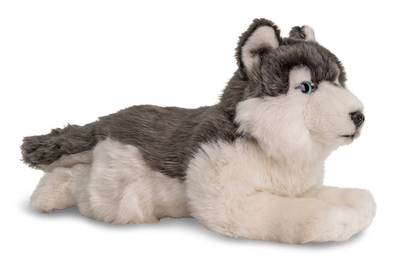 Kuscheltier zu % 38 Husky 100 Plüsch-Hund grau, - recyceltes Uni-Toys (Länge) - cm - Plüschtier, liegend Füllmaterial