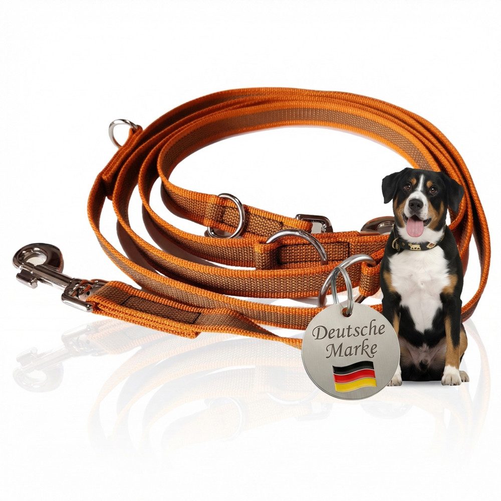 Activity4Dogs Hundeleine für große Hunde, Anti-Slip, 3 m lang, 4-fach verstellbar, TESTSIEGER, rutschfest, Nylon, sehr gut bei Regenwetter, Made in Germany