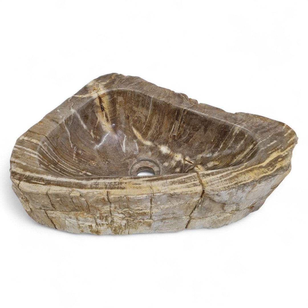 Kinaree Waschbecken Versteinertes Holz #54 (1-St)