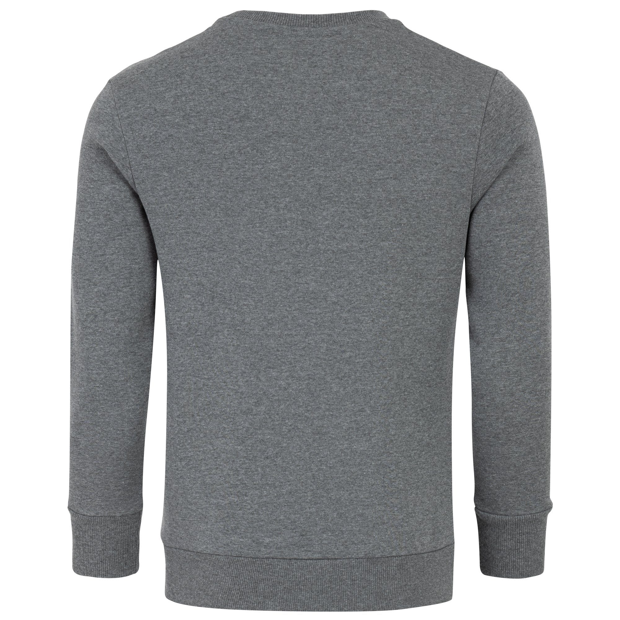 REPUBLIX Sweatshirt JESSE Herren Basic College Pullover Sweatjacke Hoodie günstig online kaufen