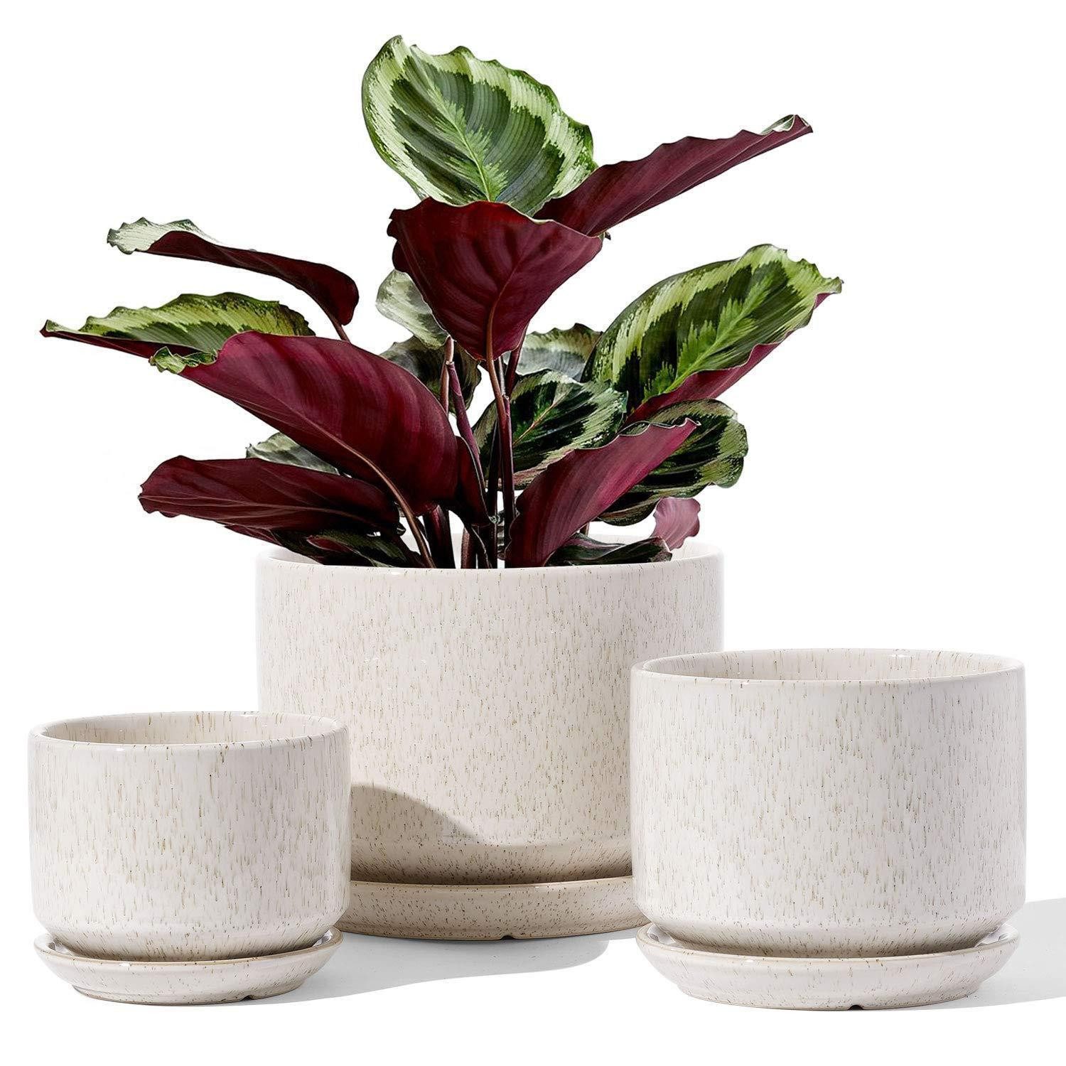 LuxusKollektion Blumentopf Blumentöpfe Keramik 3er 11 13 17 cm Untersetzer Reactive Glaze Beige