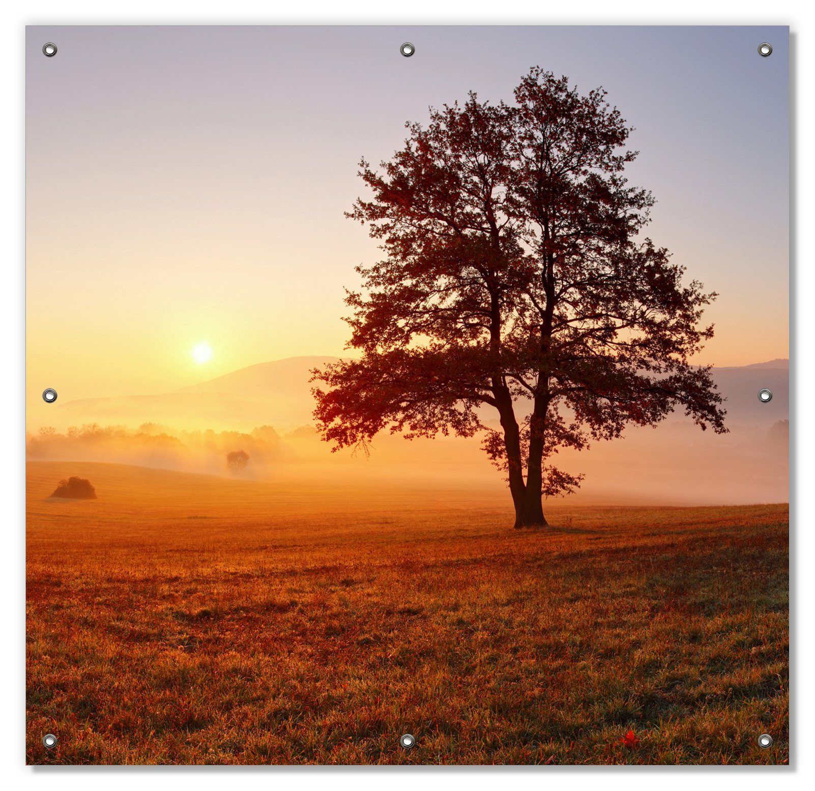 Sonnenschutz Sonnenaufgang über der Wiese wiederverwendbar und wiederablösbar mit Saugnäpfen, blickdicht, Nebel, mit Wallario