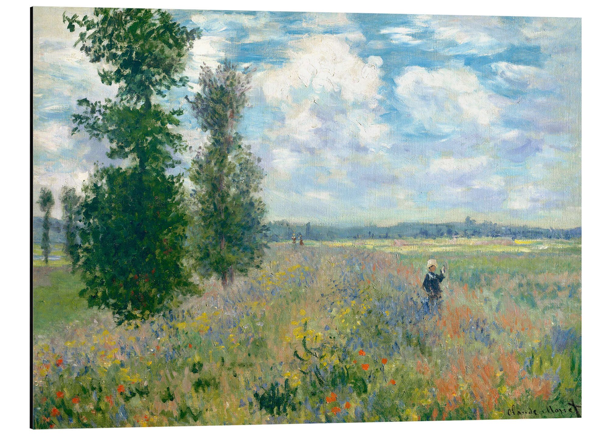 Posterlounge Wandbild Mohnfelder in der Nähe günstig online kaufen