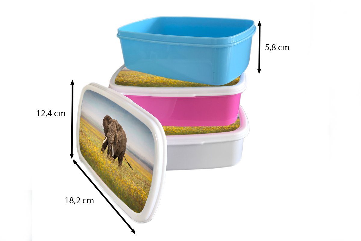 - Erwachsene, Kunststoff, weiß Blumen Lunchbox und und Tiere - Natur, für Brotbox MuchoWow Jungs Brotdose, für Mädchen Elefant - Gras (2-tlg), Kinder -