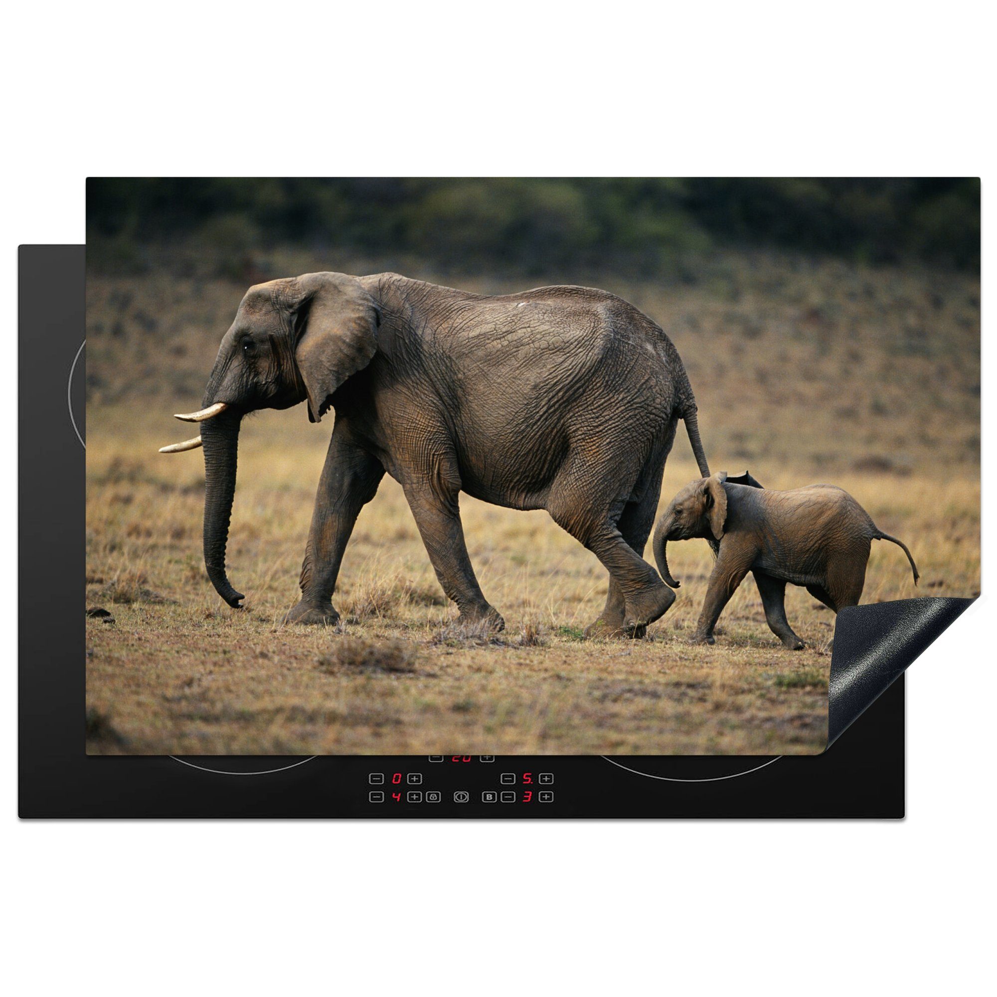 MuchoWow Herdblende-/Abdeckplatte Elefant - Kalb - Kenia, Vinyl, (1 tlg), 81x52 cm, Induktionskochfeld Schutz für die küche, Ceranfeldabdeckung