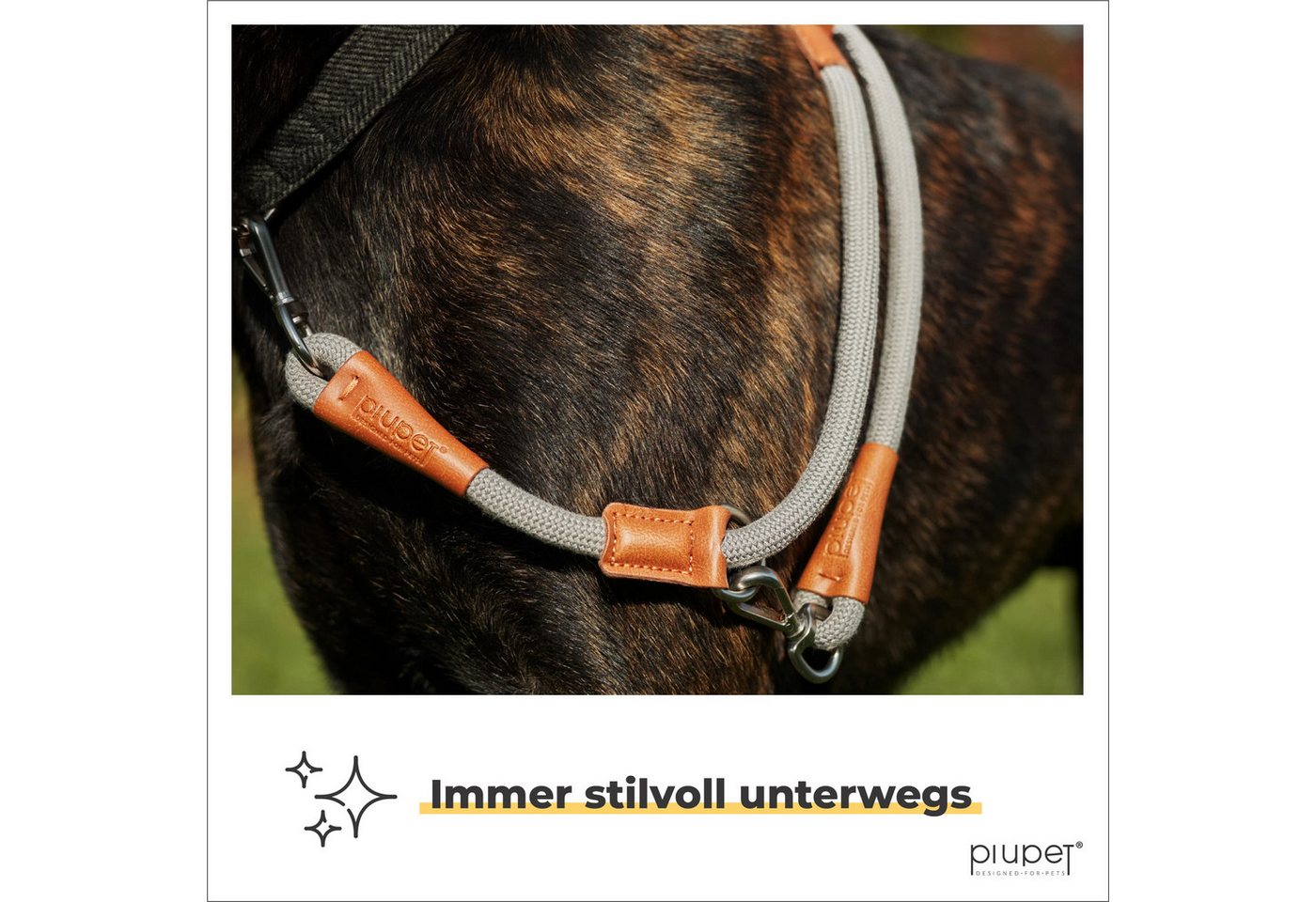 Thumbnail - Piupet Hundeleine Hundeleine 2m, 3-Fach Längenverstellbar, Große & Kleine Hunde