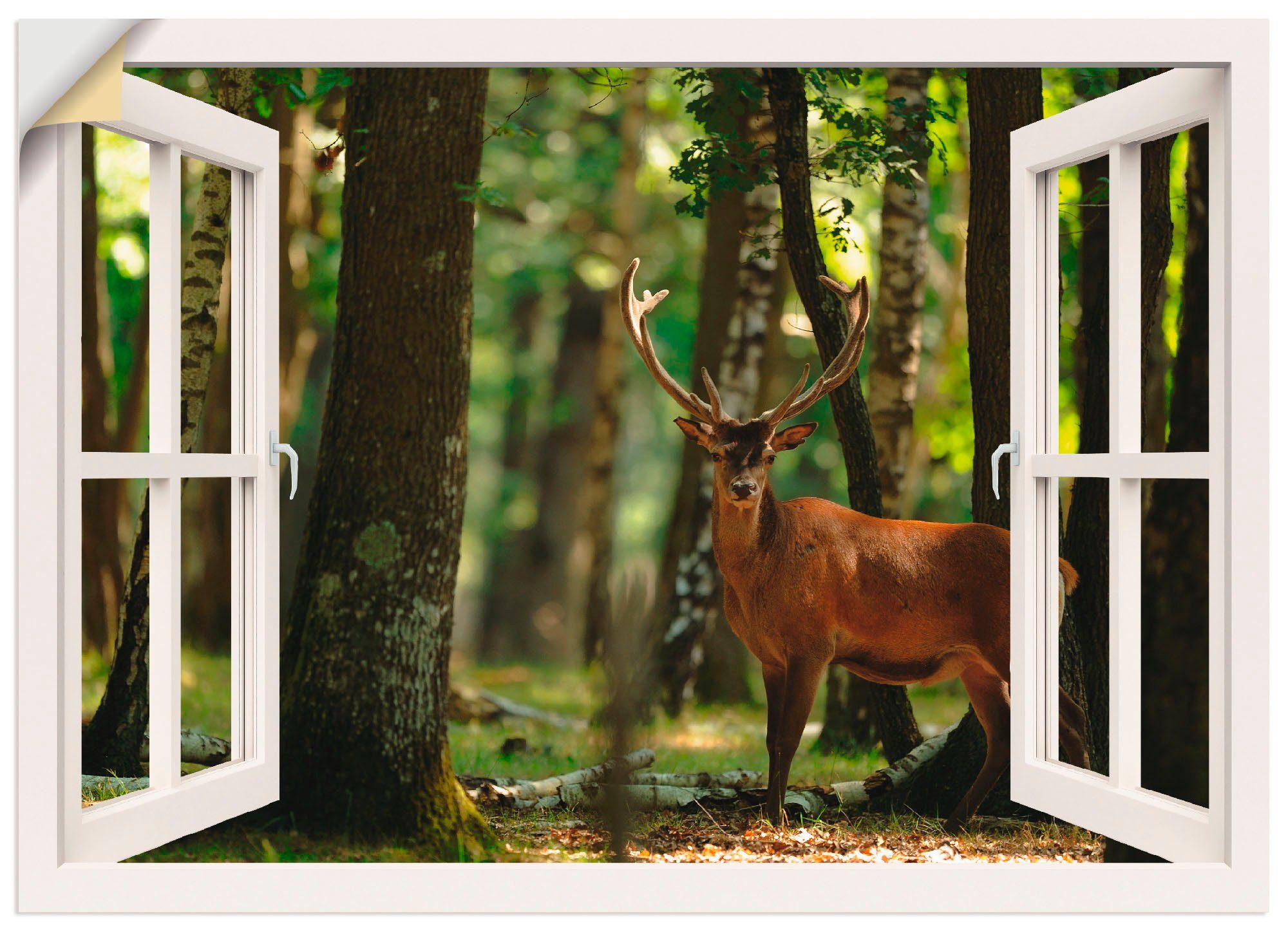 4 Wald, - als Artland in Poster versch. Größen (1 St), Wandbild Wandaufkleber - Hirsch Fensterblick Fensterblick oder Leinwandbild,