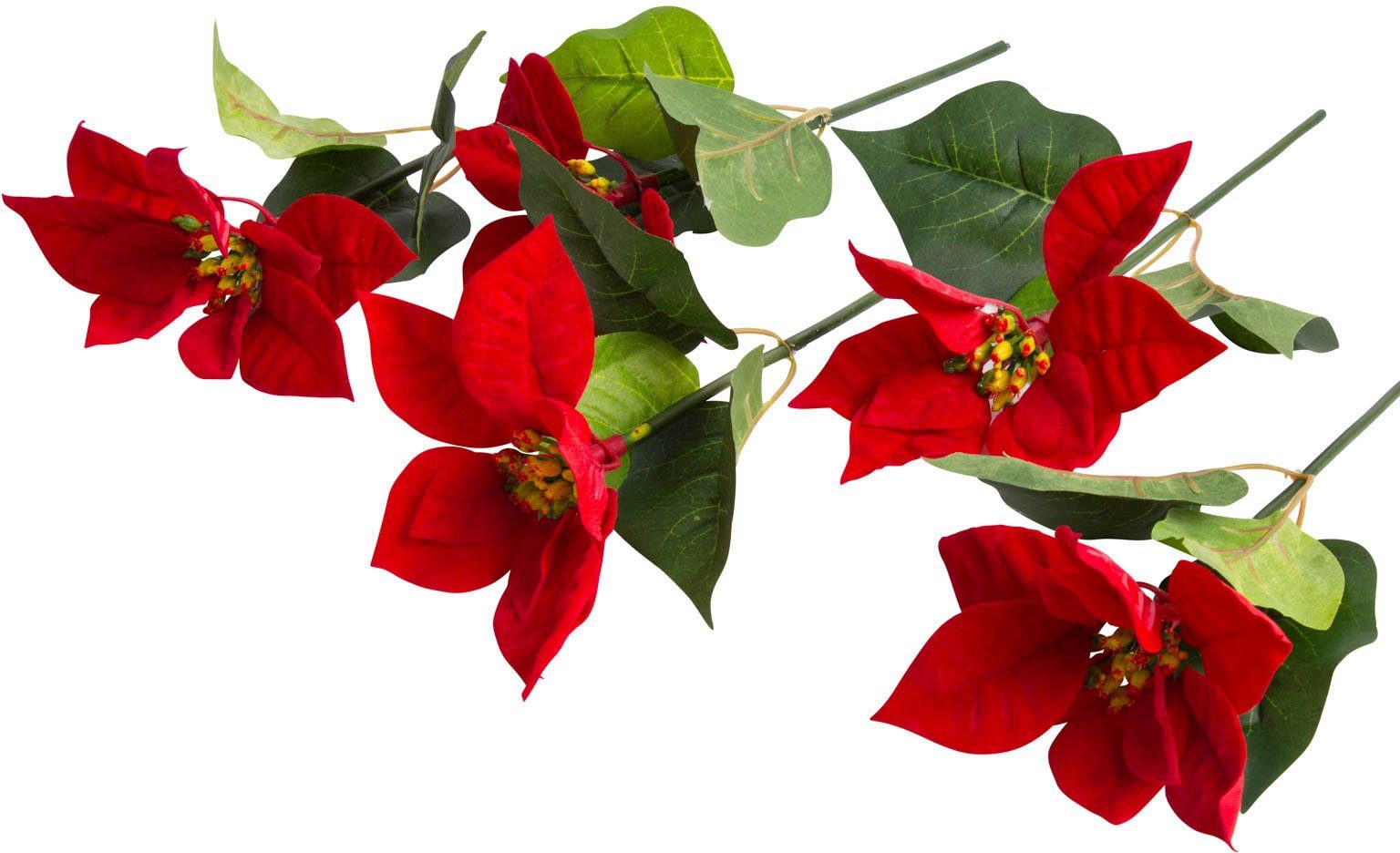 Kunstblume Edel-Poinsettienpick Poinsettie, Botanic-Haus, Höhe 20 cm