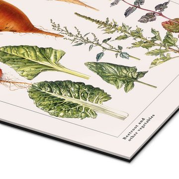 Posterlounge XXL-Wandbild Elizabeth Rice, Rote Beete und anderes Gemüse (englisch), Esszimmer Vintage Grafikdesign