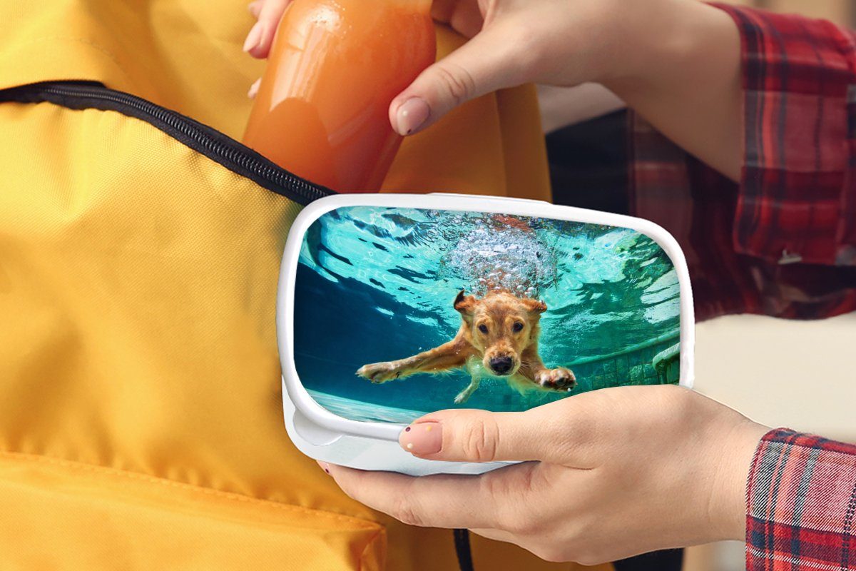 MuchoWow Lunchbox Pool - Mädchen Hund und Wasser, Brotbox und für Kinder Brotdose, weiß Jungs - für Kunststoff, (2-tlg), Erwachsene