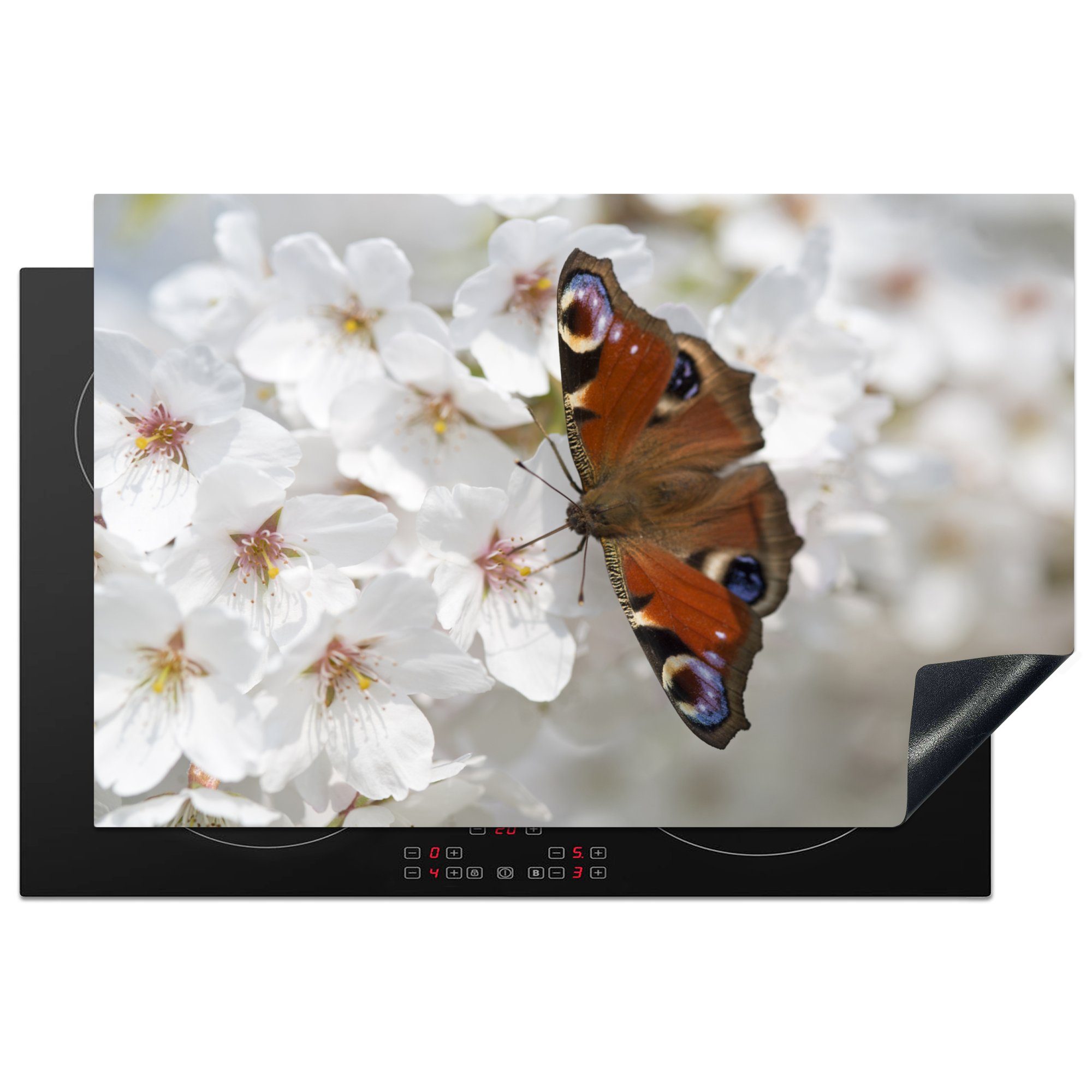 MuchoWow Herdblende-/Abdeckplatte Tagpfauenauge Schmetterling auf Kirschblüte, Vinyl, (1 tlg), 81x52 cm, Induktionskochfeld Schutz für die küche, Ceranfeldabdeckung