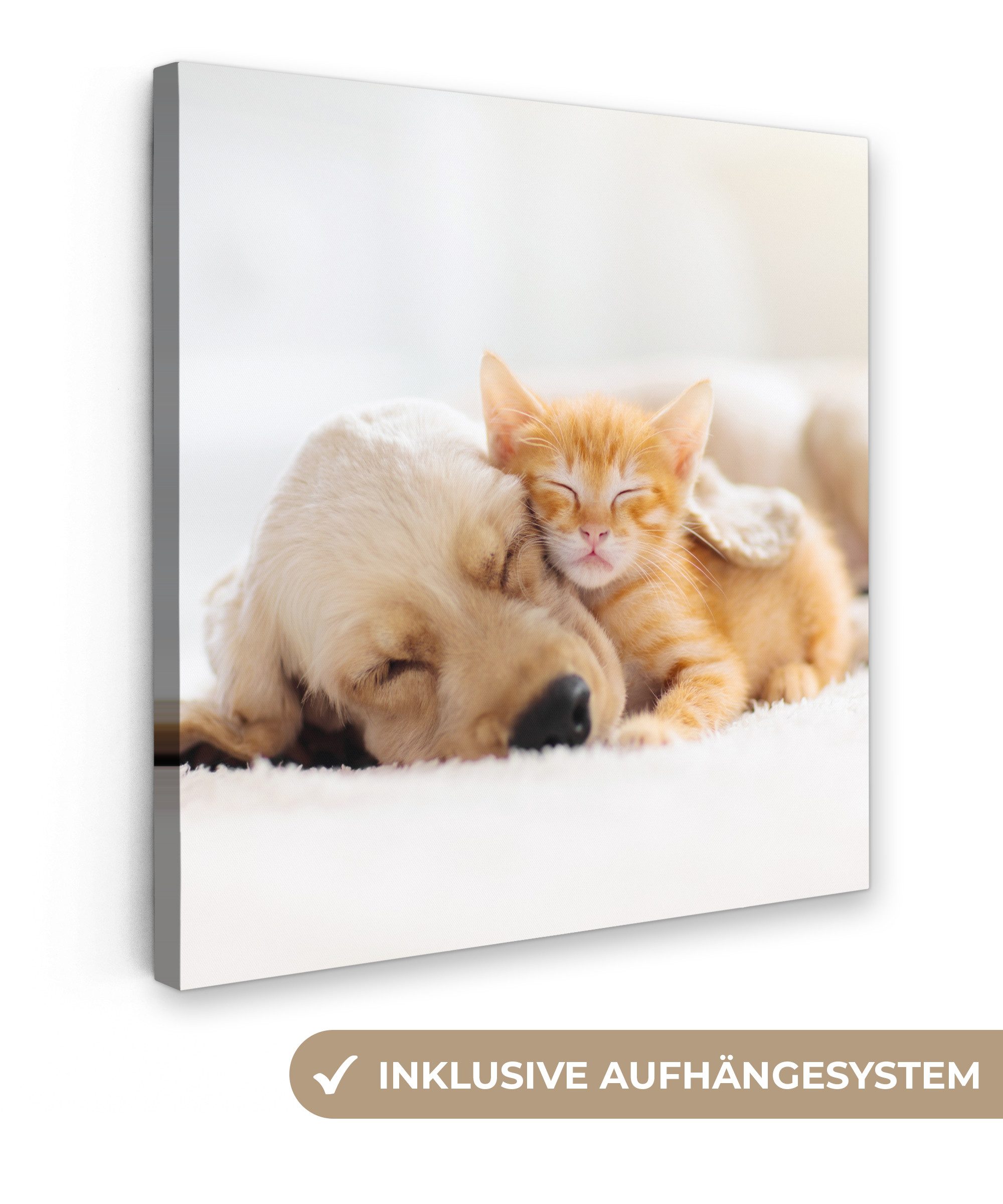 OneMillionCanvasses® Leinwandbild Tiere - Hund - günstig online kaufen