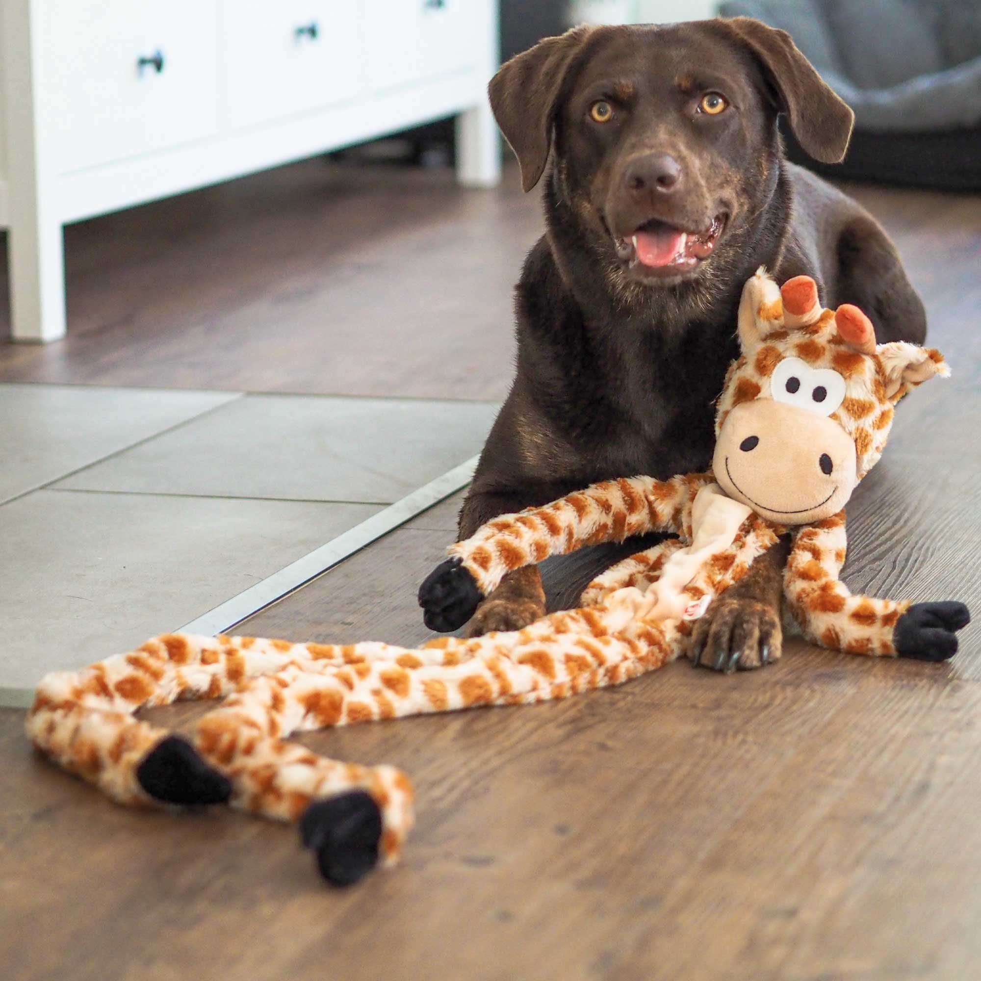 Nobby Tierkuscheltier Giraffe XL - Hundespielzeug - 113 m lang, Plüsch, (1- günstig online kaufen