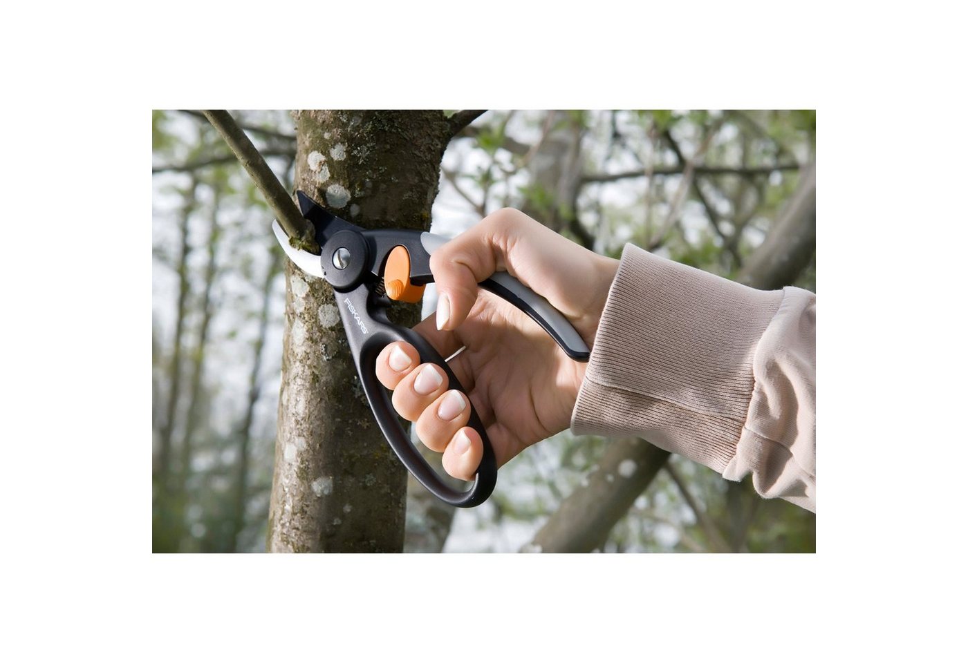 Thumbnail - Fiskars Strauchschere Fiskars Bypass-Gartenschere "Elegance" P44
