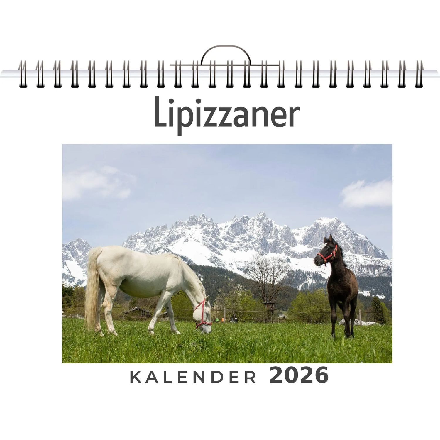 Wandkalender Lipizzaner