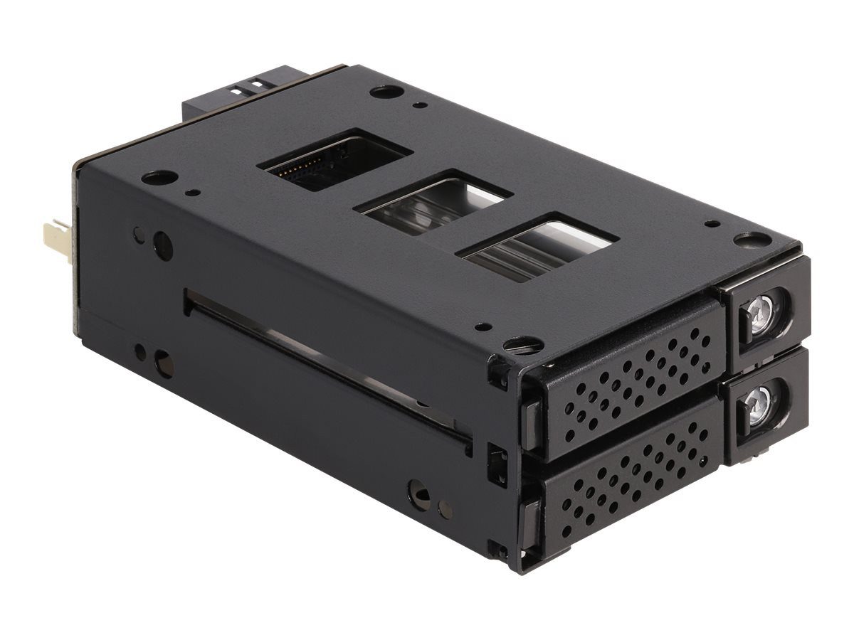 Delock HDD-Festplatte