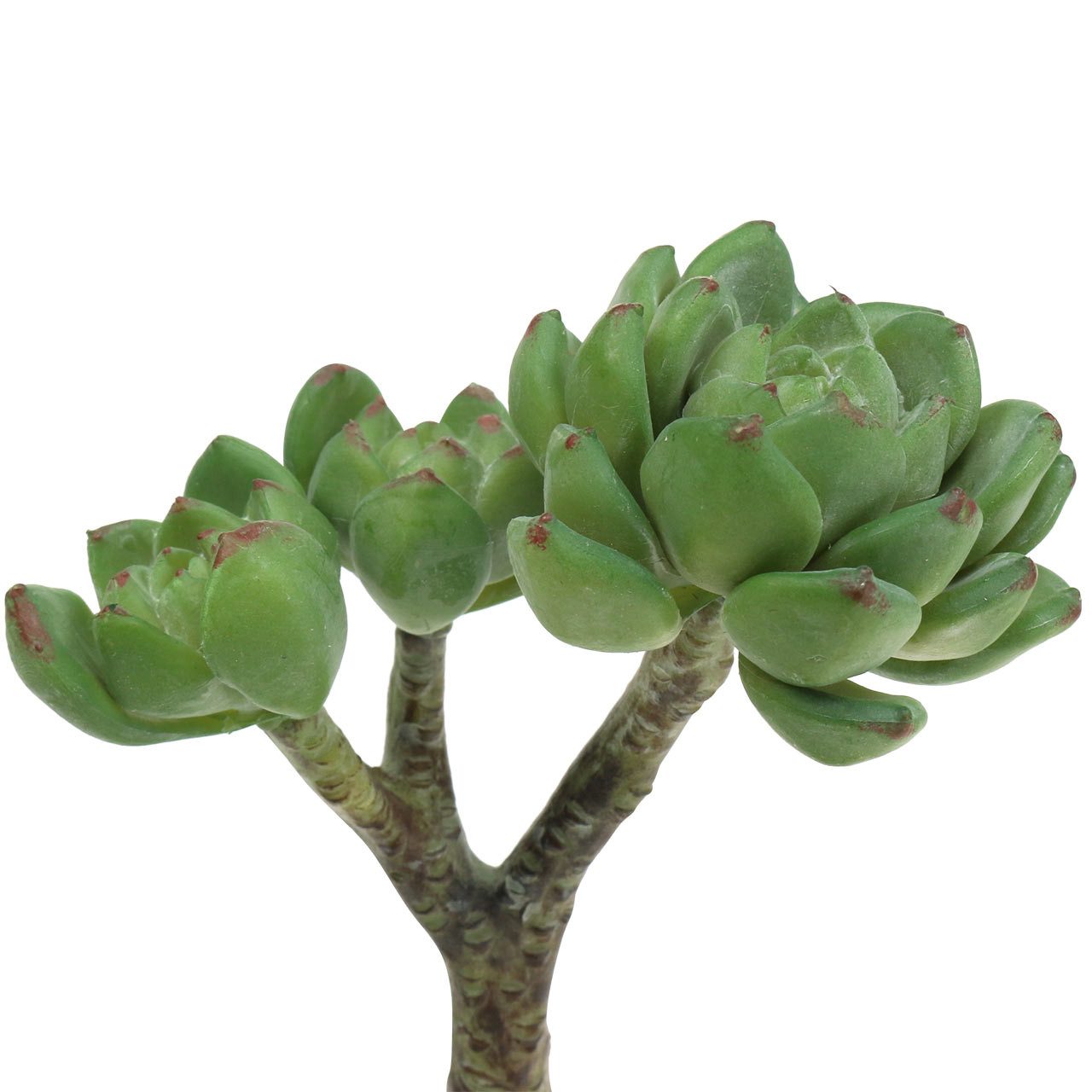 Kunstkaktus Sukkulente Echeveria künstlich Grün Deko Pflanze 15cm realistis günstig online kaufen