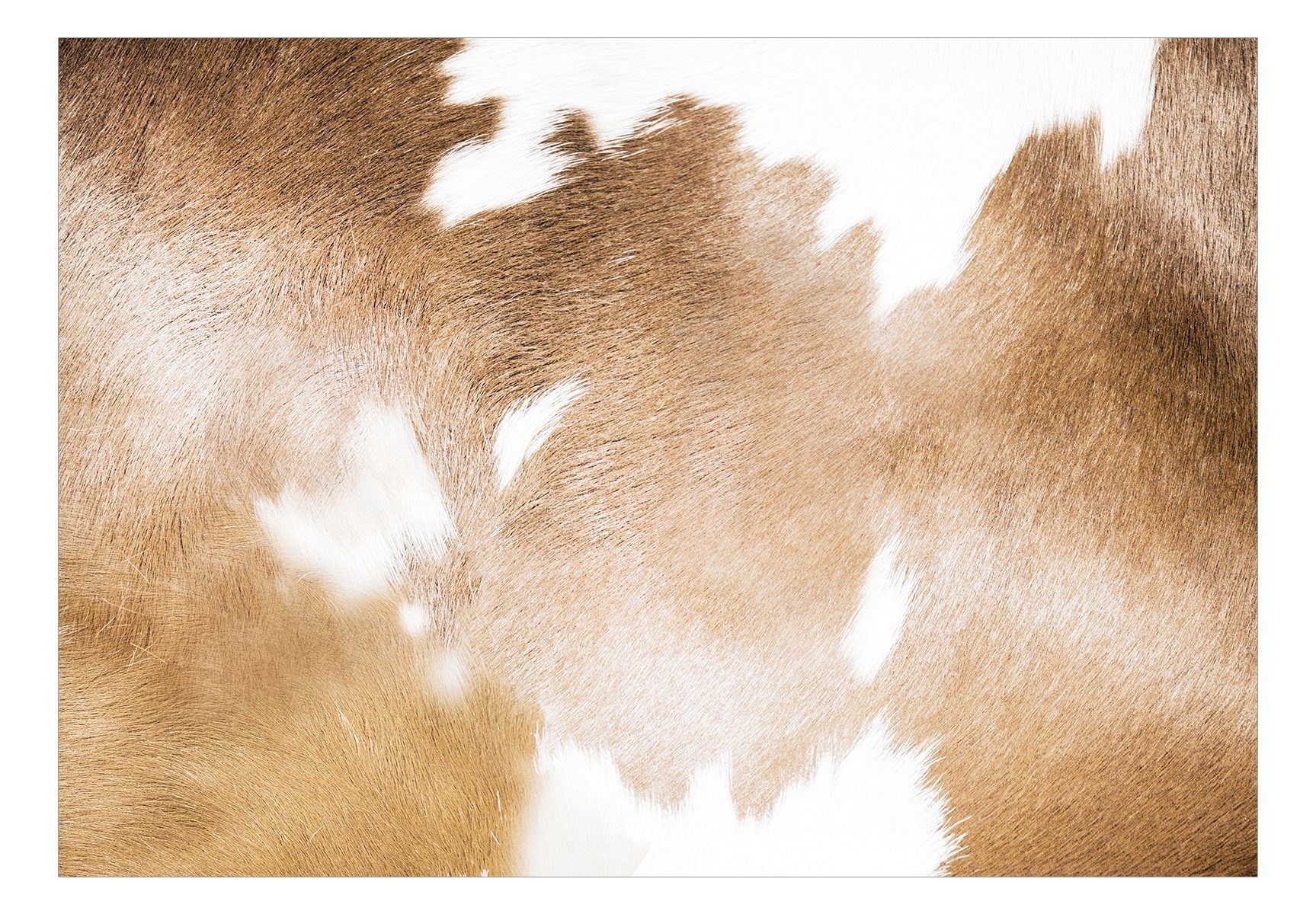 KUNSTLOFT matt, Cow lichtbeständige Vliestapete Tapete 0.98x0.7 Design m, Patches