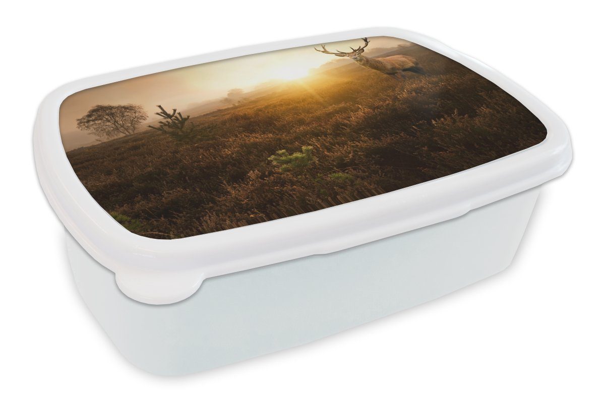 MuchoWow Lunchbox Hirsche - Jungs für Nebel (2-tlg), Kinder und - weiß Brotdose, Sonnenuntergang, Kunststoff, Erwachsene, Brotbox und Mädchen für