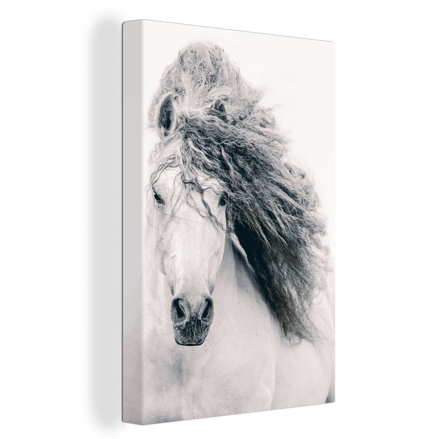 OneMillionCanvasses® Leinwandbild Pferd - Grau - Mähne, (1 St), Leinwandbild fertig bespannt inkl. Zackenaufhänger, Gemälde, 20x30 cm
