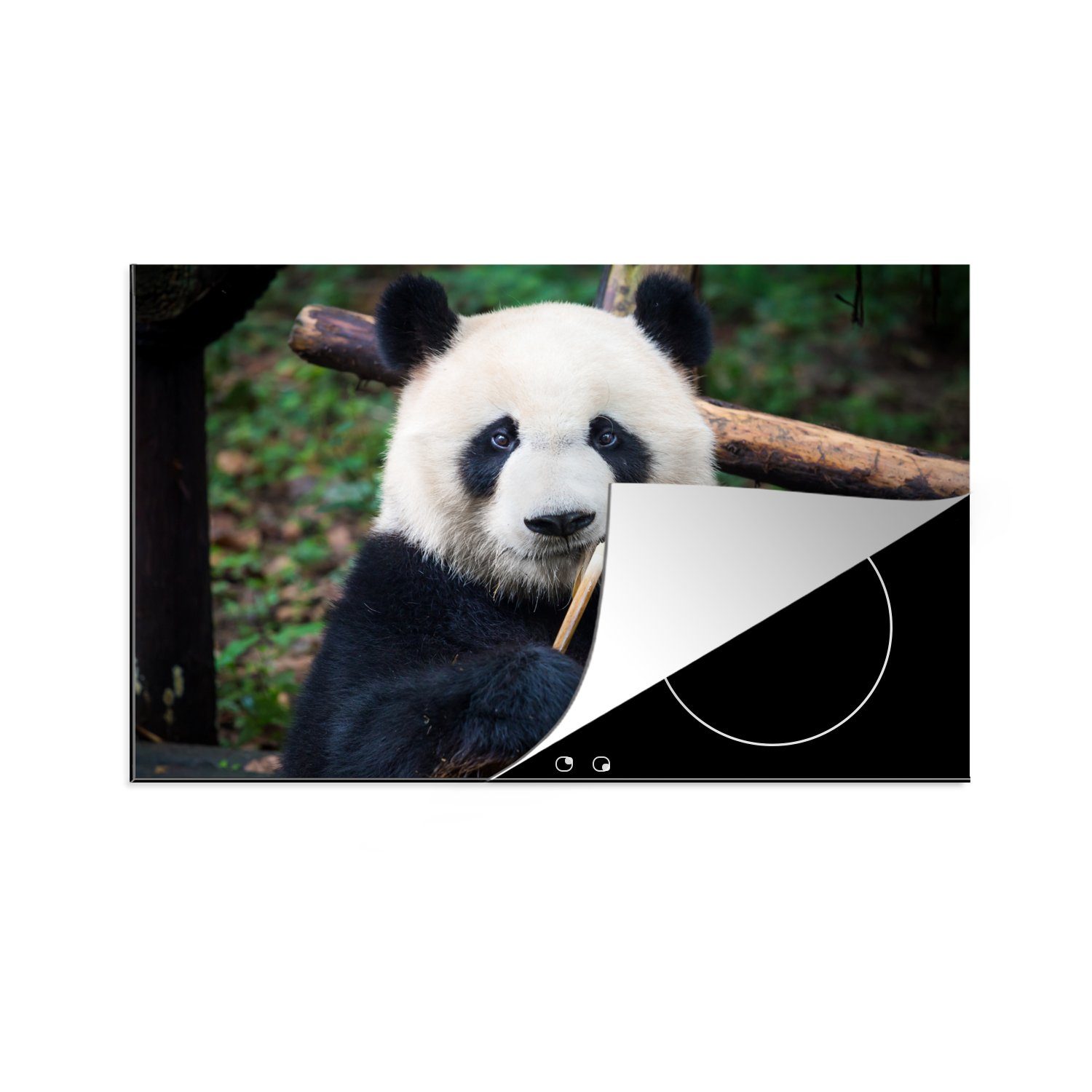 MuchoWow Herdblende-/Abdeckplatte Panda - Bambus - Natur, Vinyl, (1 tlg), 81x52 cm, Induktionskochfeld Schutz für die küche, Ceranfeldabdeckung