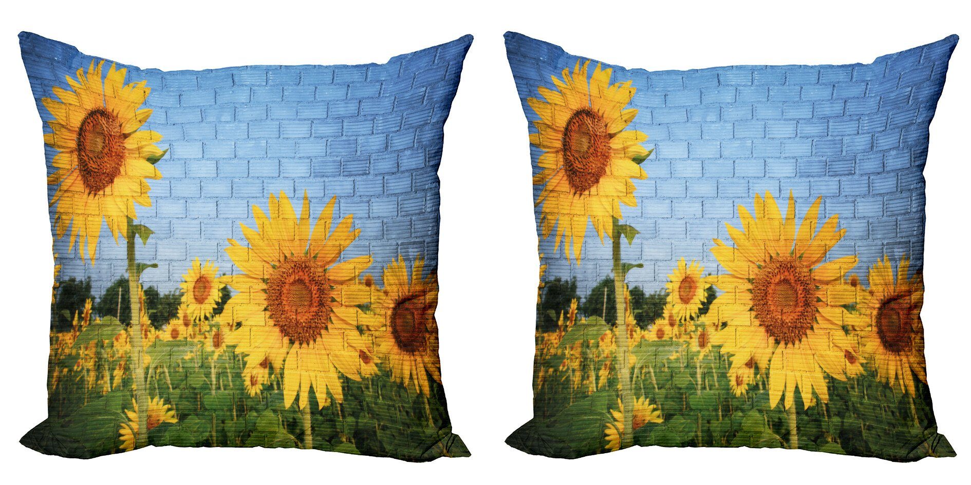 Schnelle Lieferung Kissenbezüge Modern Accent Doppelseitiger Digitaldruck, Wand Blumen (2 Stück), der Abakuhaus Sonnenblumen an