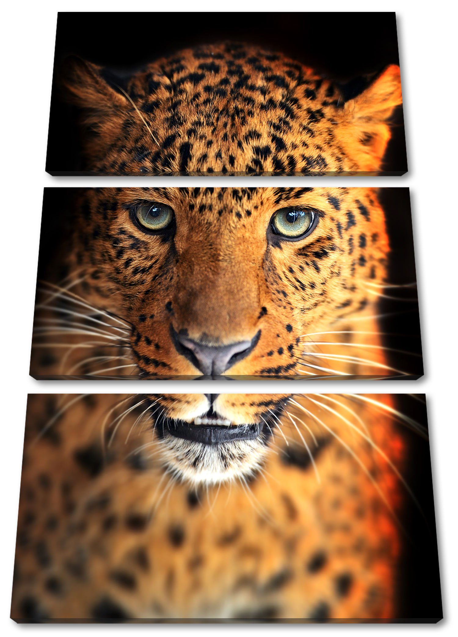 Pixxprint Leinwandbild Stolzer Leopard, Stolzer Leopard 3Teiler (120x80cm) (1 St), Leinwandbild fertig bespannt, inkl. Zackenaufhänger