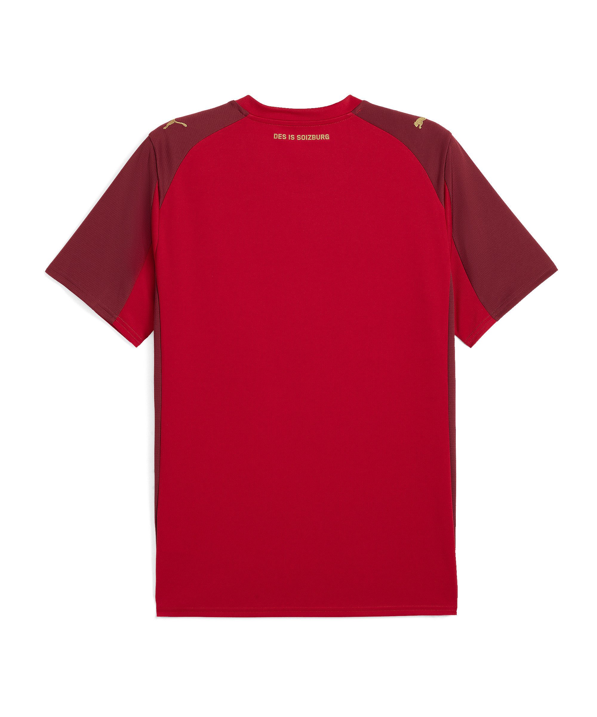 PUMA Fußballtrikot PUMA Red Bull Salzburg Trikot 3rd 2025/2026 Teamsport