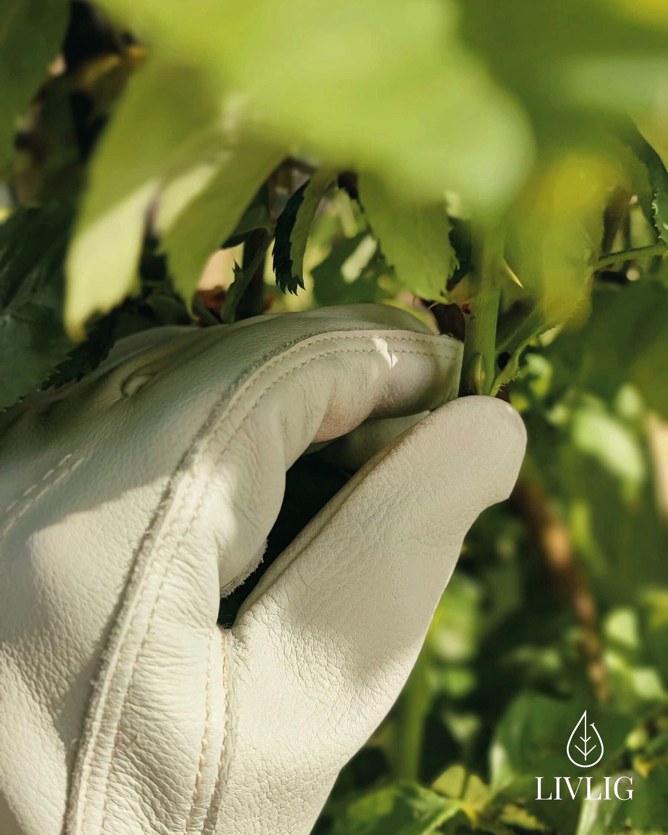 LIVLIG Gartenhandschuhe für Frauen, Lederhandschuhe, 100% Rindsleder, Hellgrau