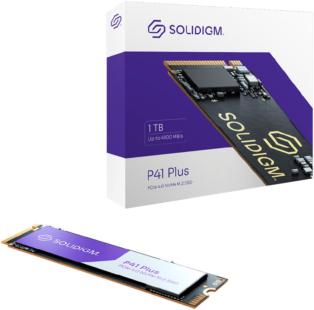 P41 Plus interne SSD (1 TB)