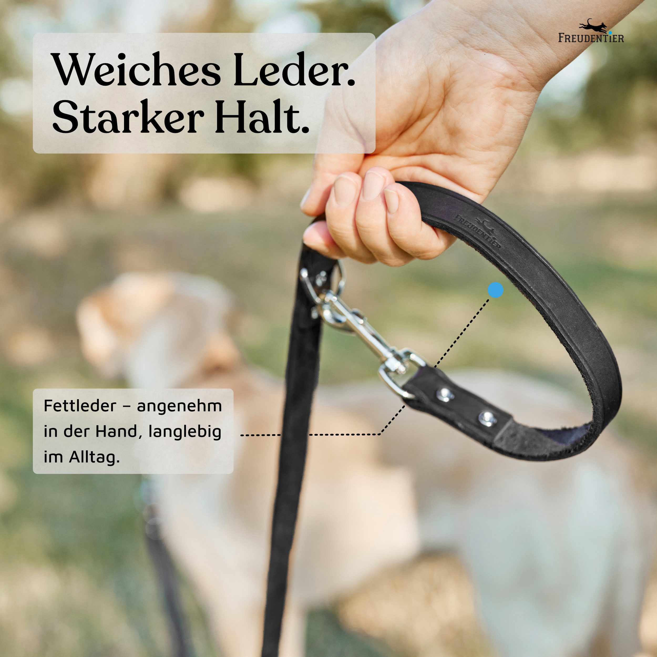 Freudentier Hundeleine aus Leder, verstellbare Führleine, Alsterufer Kollektion