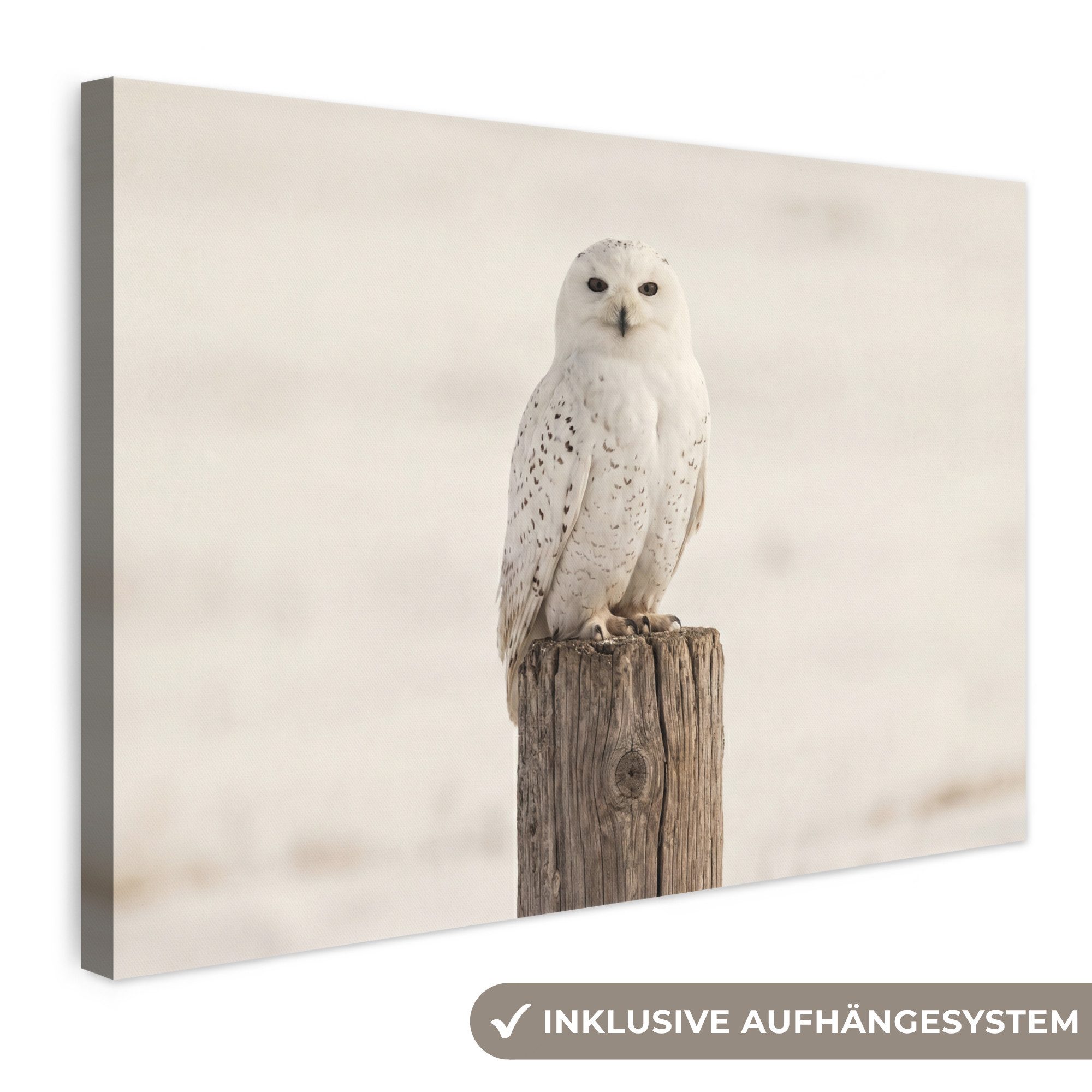OneMillionCanvasses® Leinwandbild Schneeeule - Pfahl - Winter - Porträt - Majestätisch, Fotodruck (1 St), Leinwand Bilder Klein, Wand Dekoration Aesthetic 30x20 cm