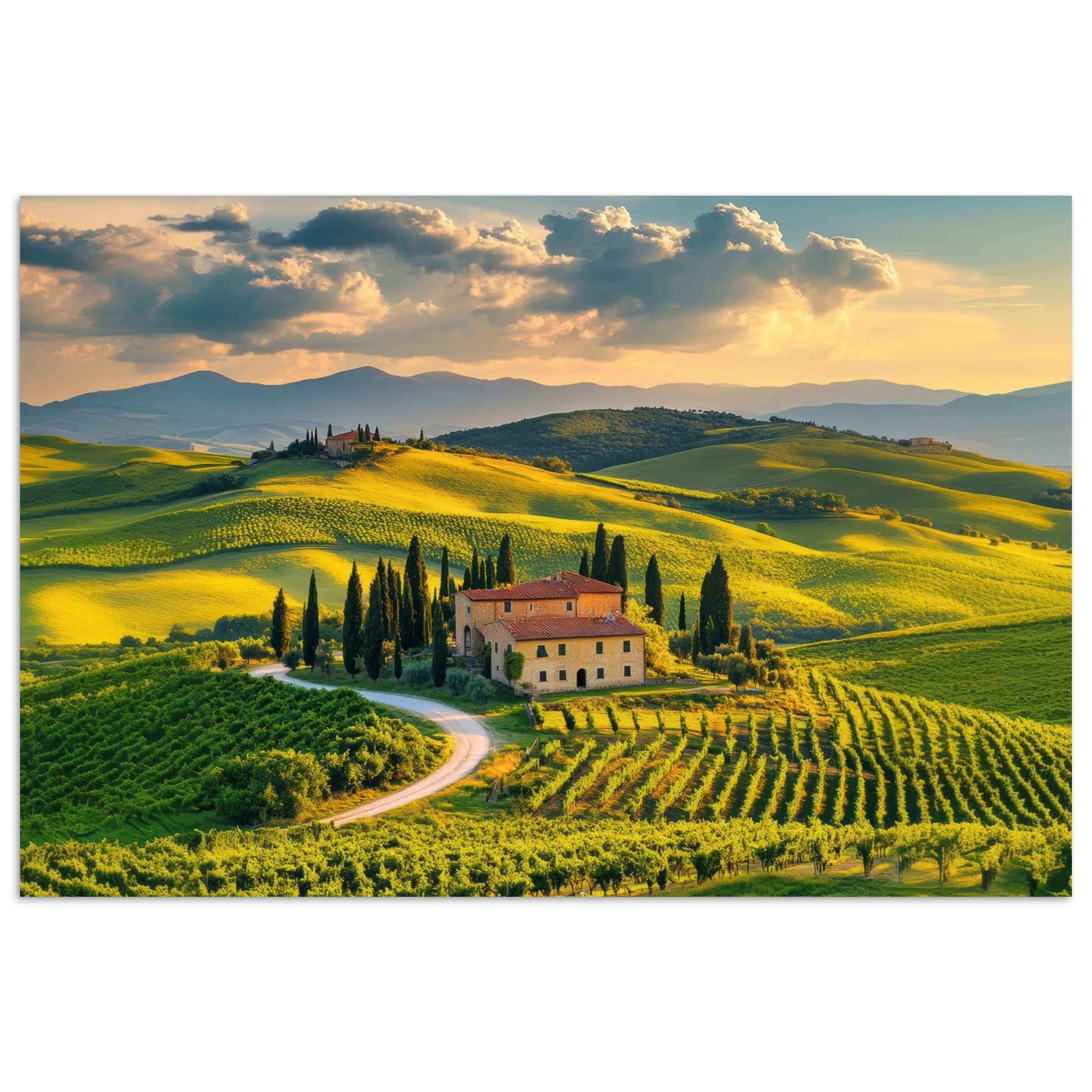 MuchoWow Poster Toskana - Landschaft - günstig online kaufen